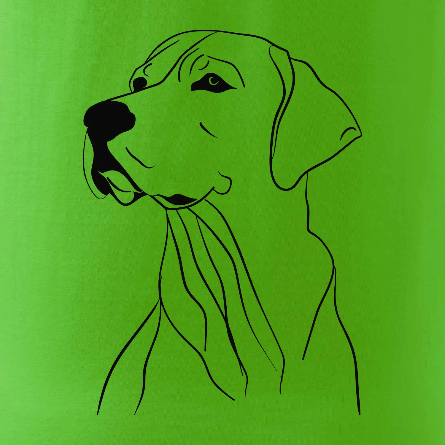 Labrador černá kresba