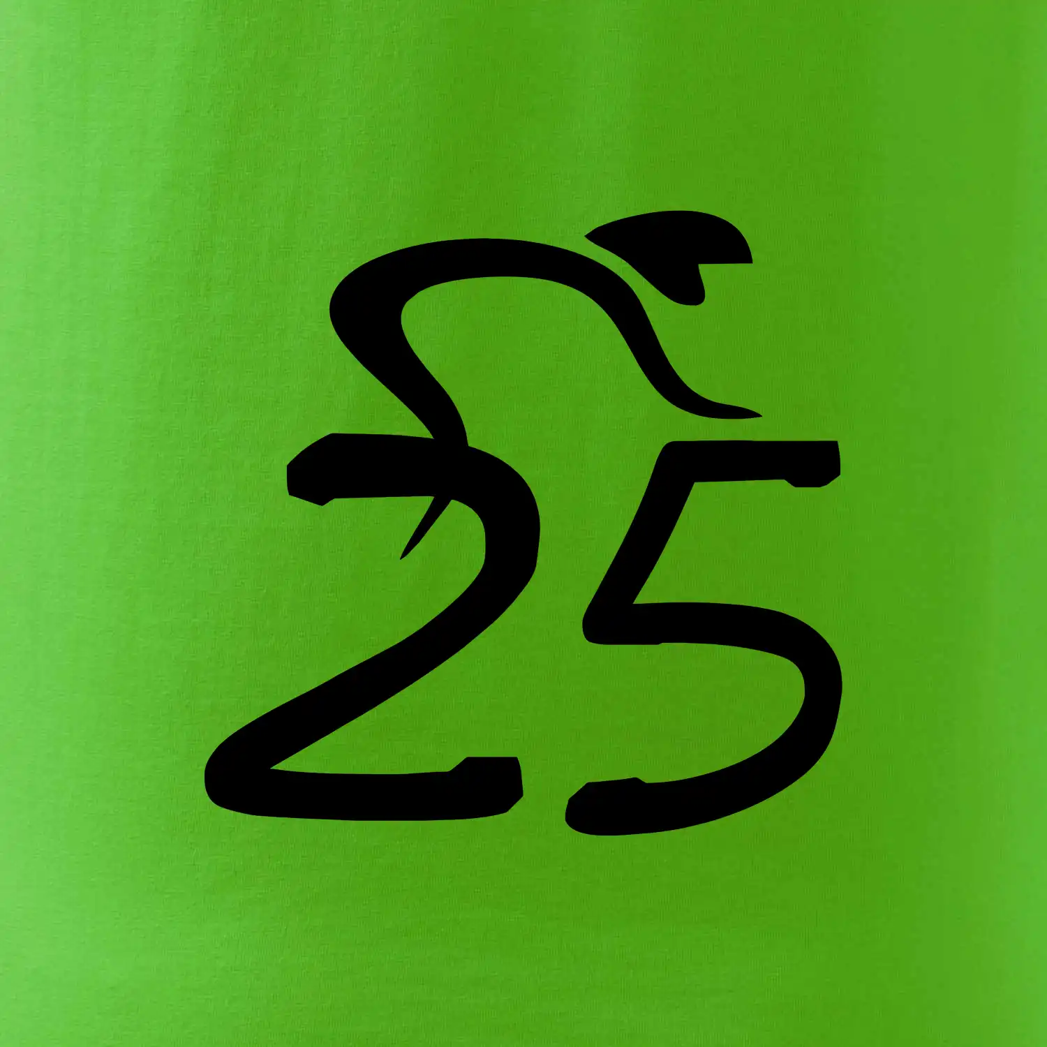 Cyklista slaví pětadvacítku (25)