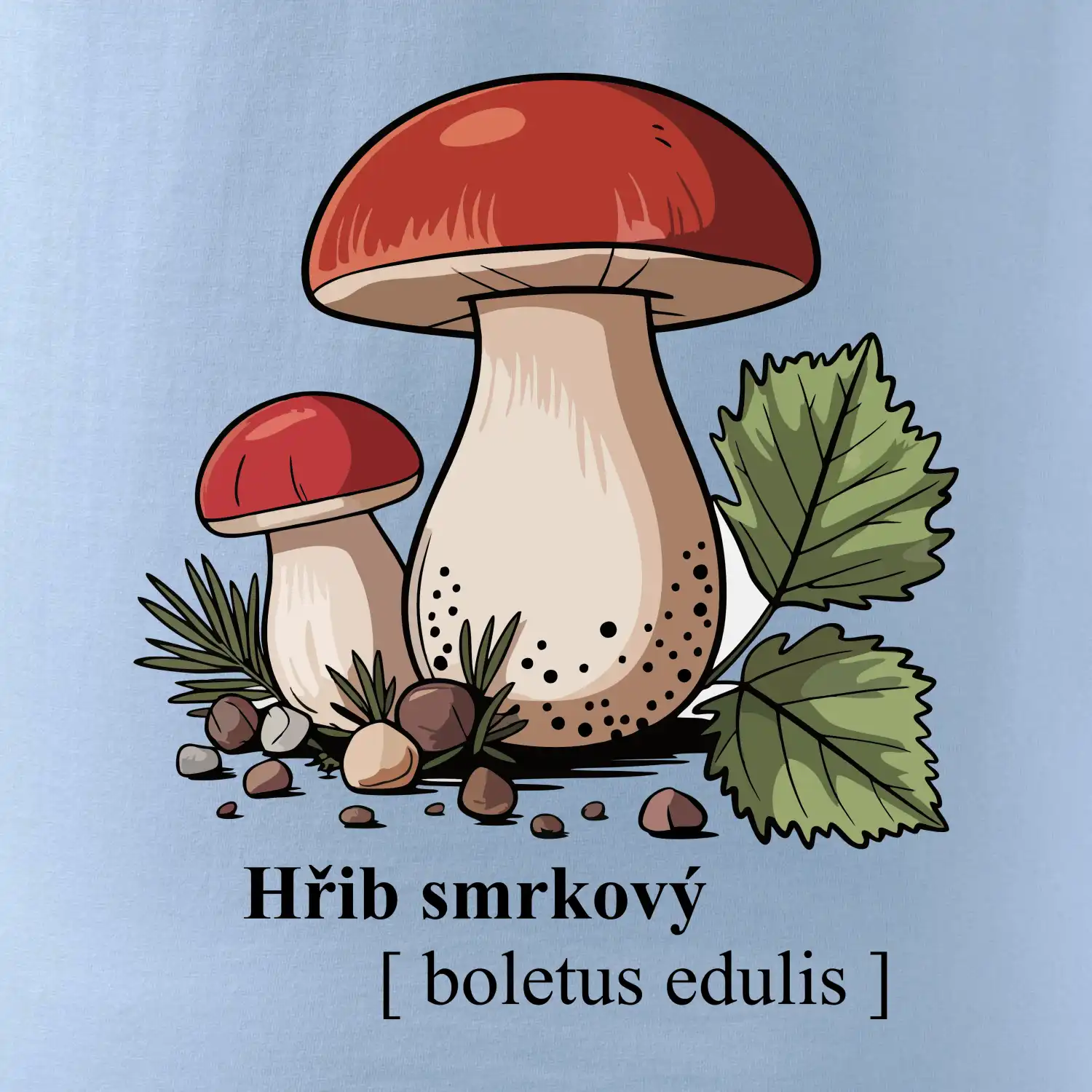 Hřib smrkový - Boletus edulis kreslený