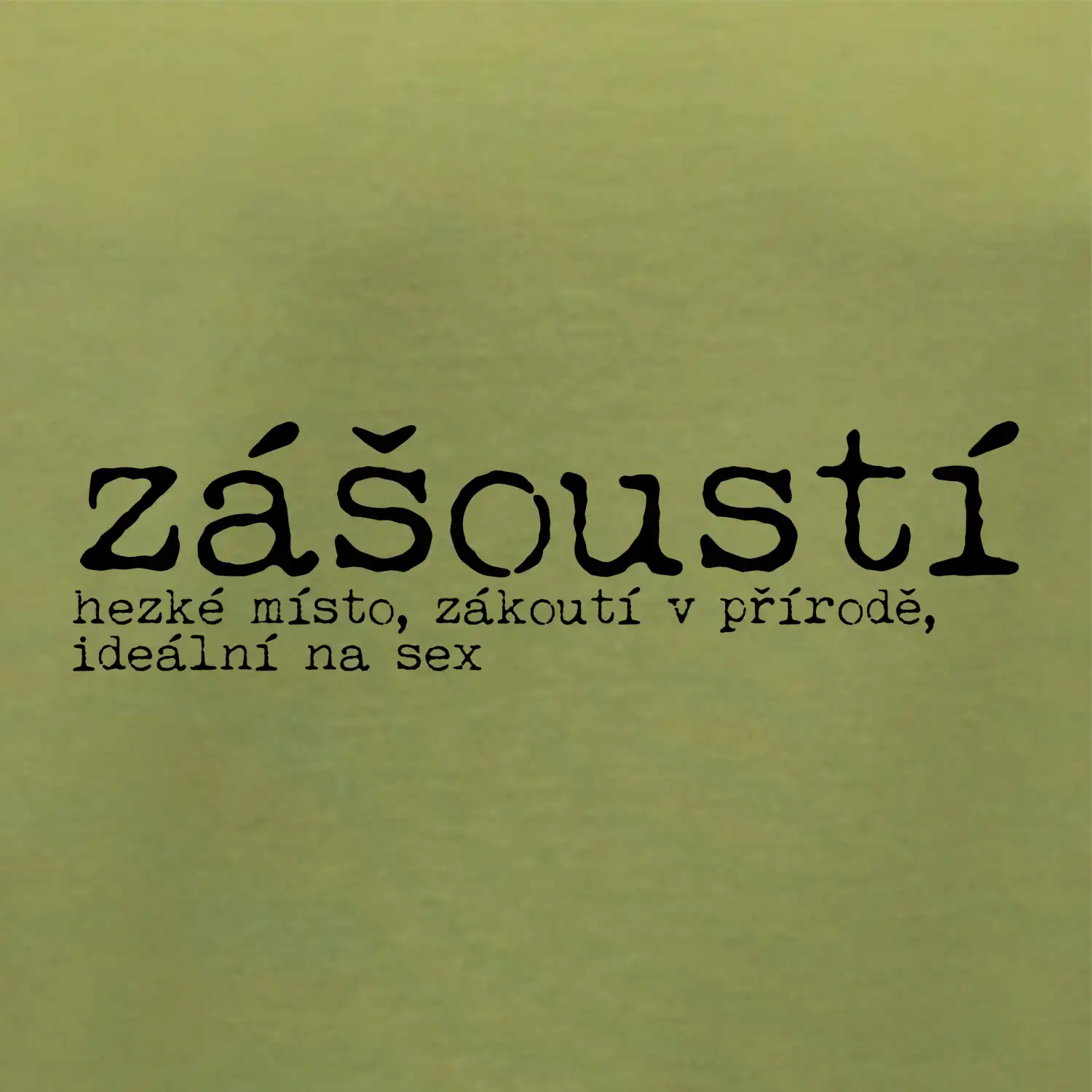 Čeština 2.0 - zášoustí