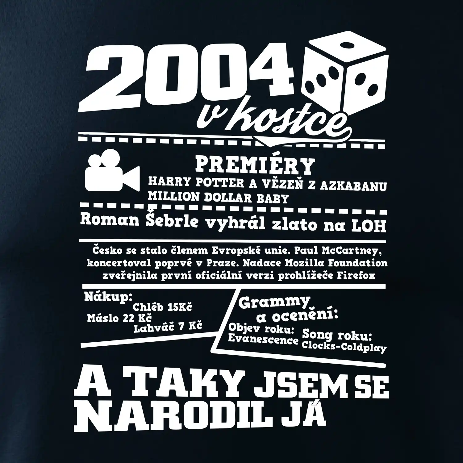 2004 v kostce