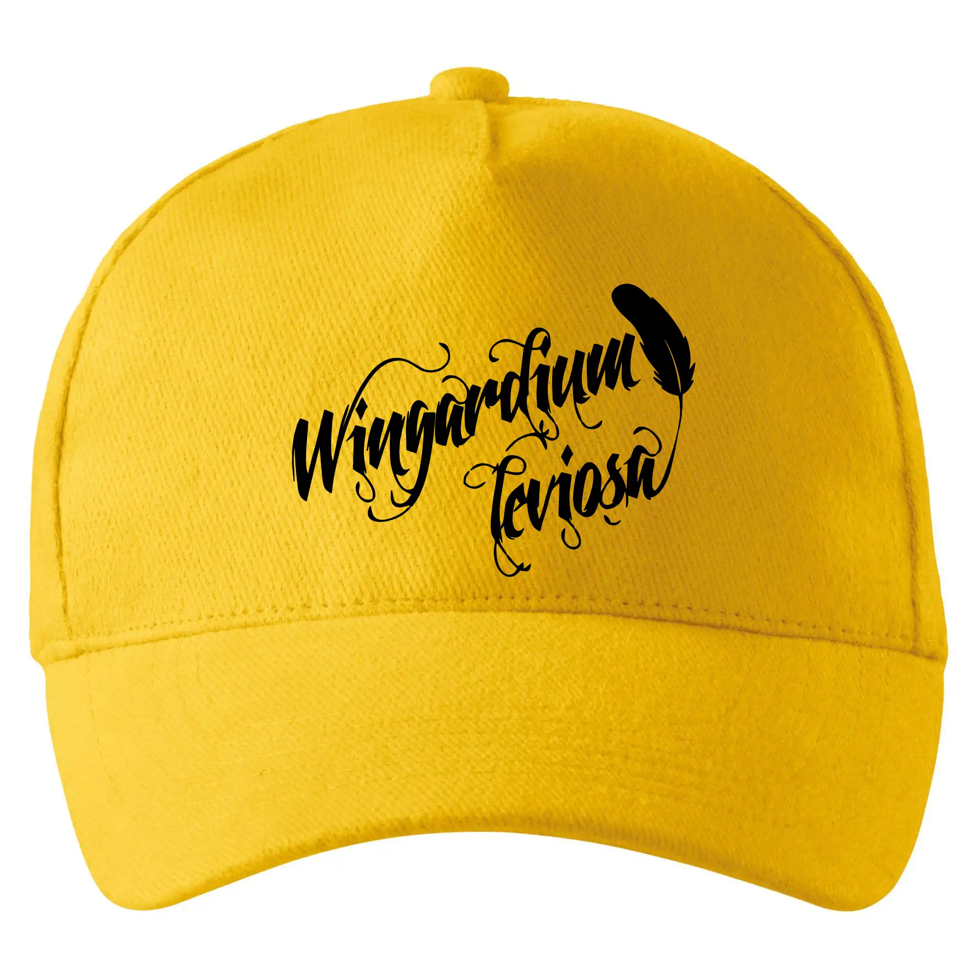 Harry - Wingardium Leviosa