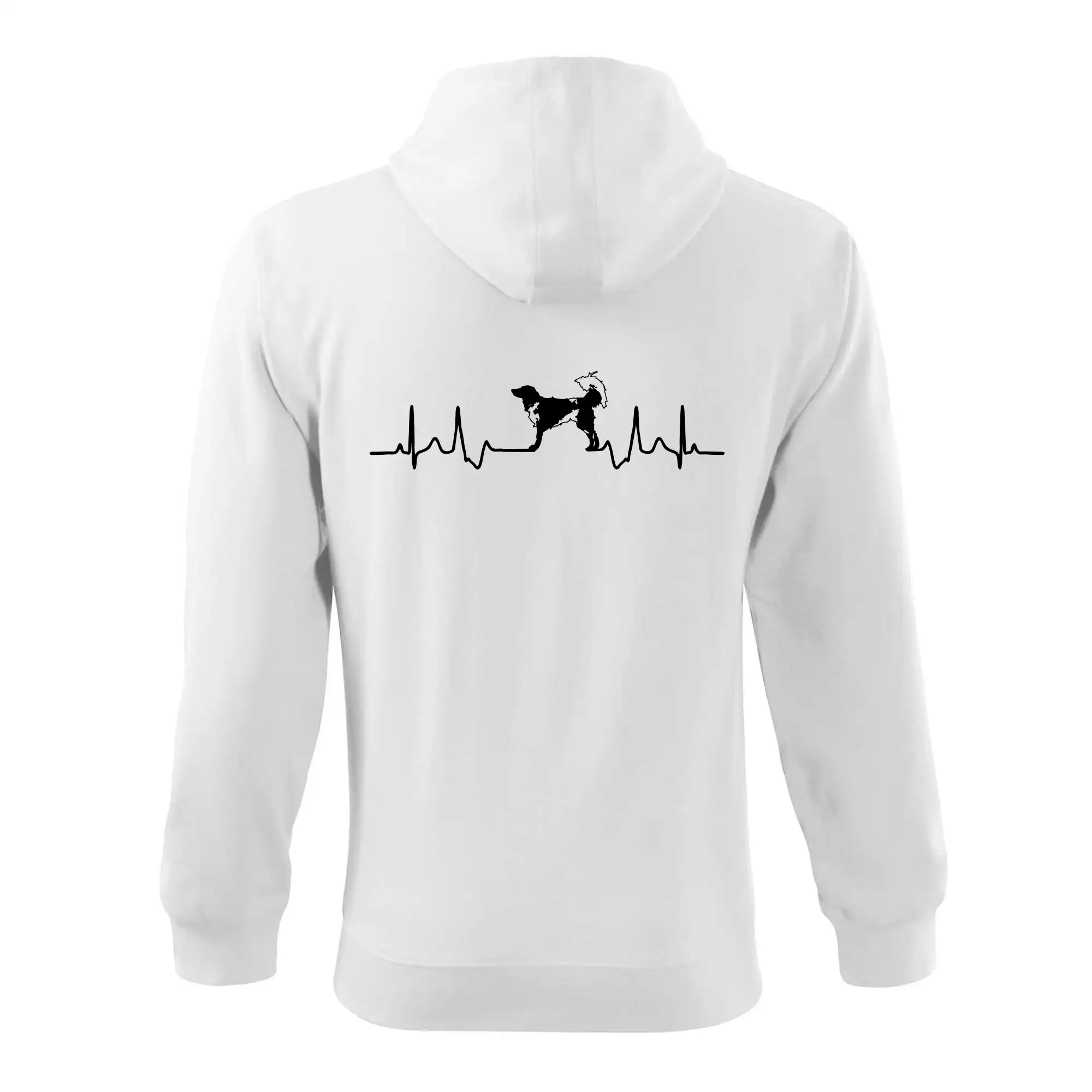 Český strakatý pes EKG