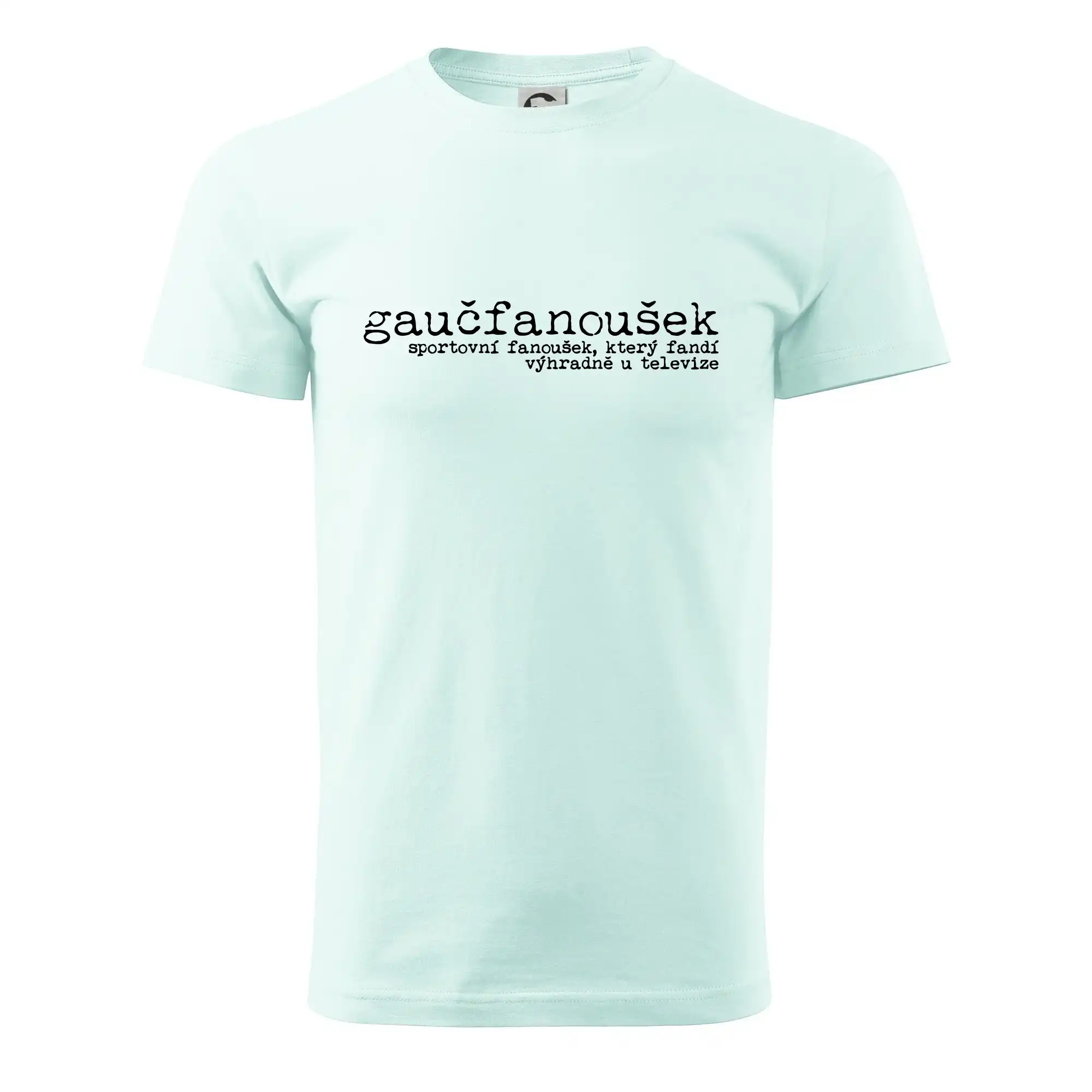 Čeština 2.0 - gaučfanoušek