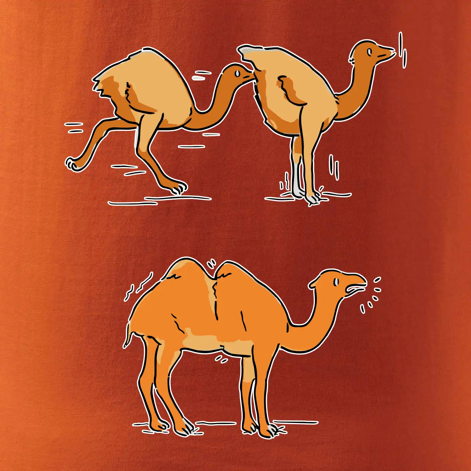 Pravda o velbloudech