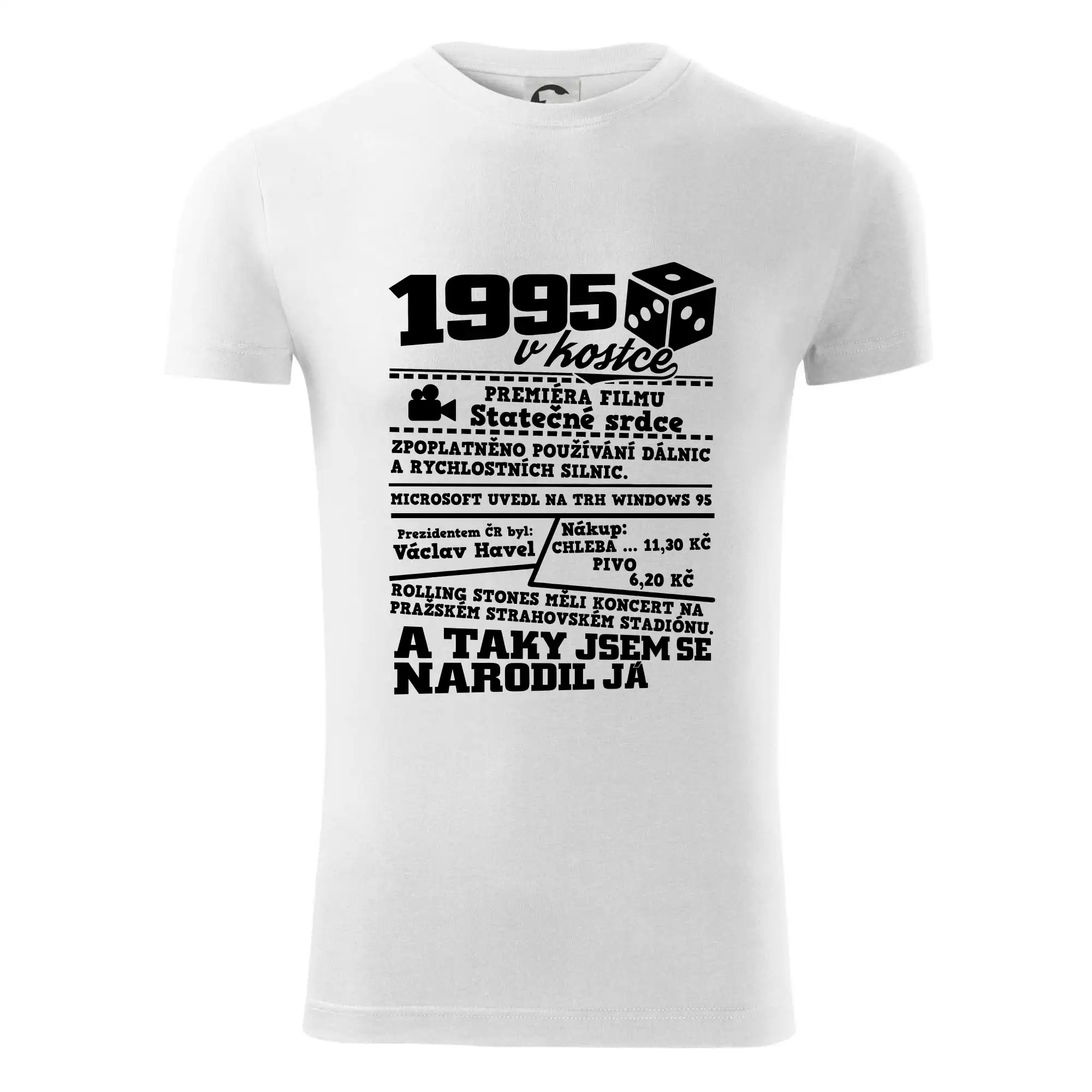 1995 v kostce