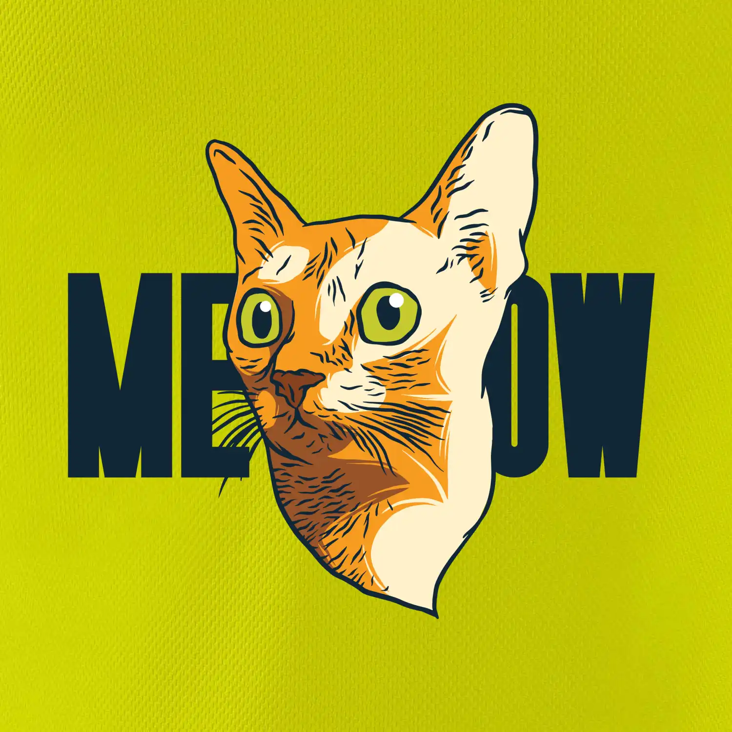 Kočka meow