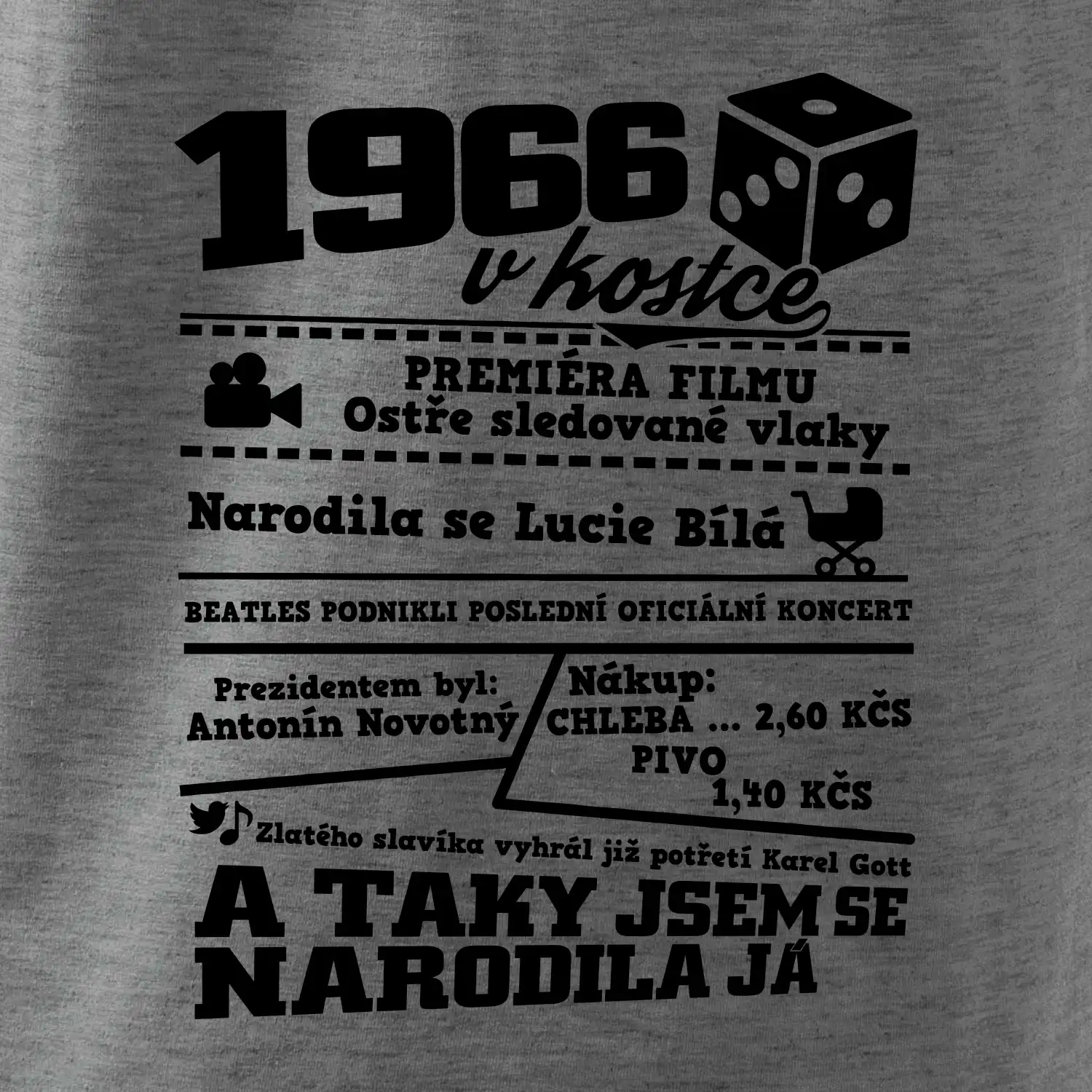 1966 v kostce
