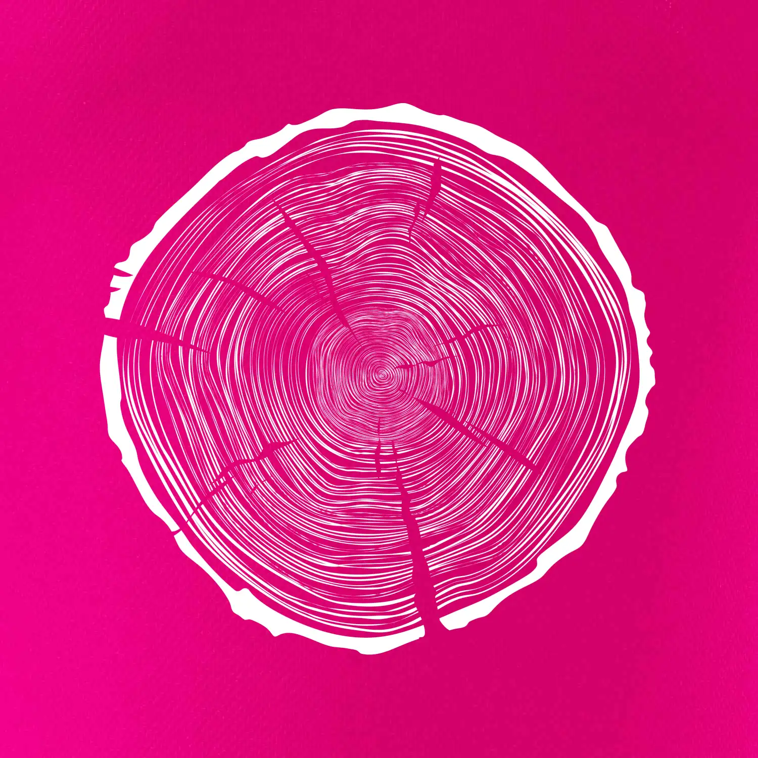 Letokruhy 95 bez věku