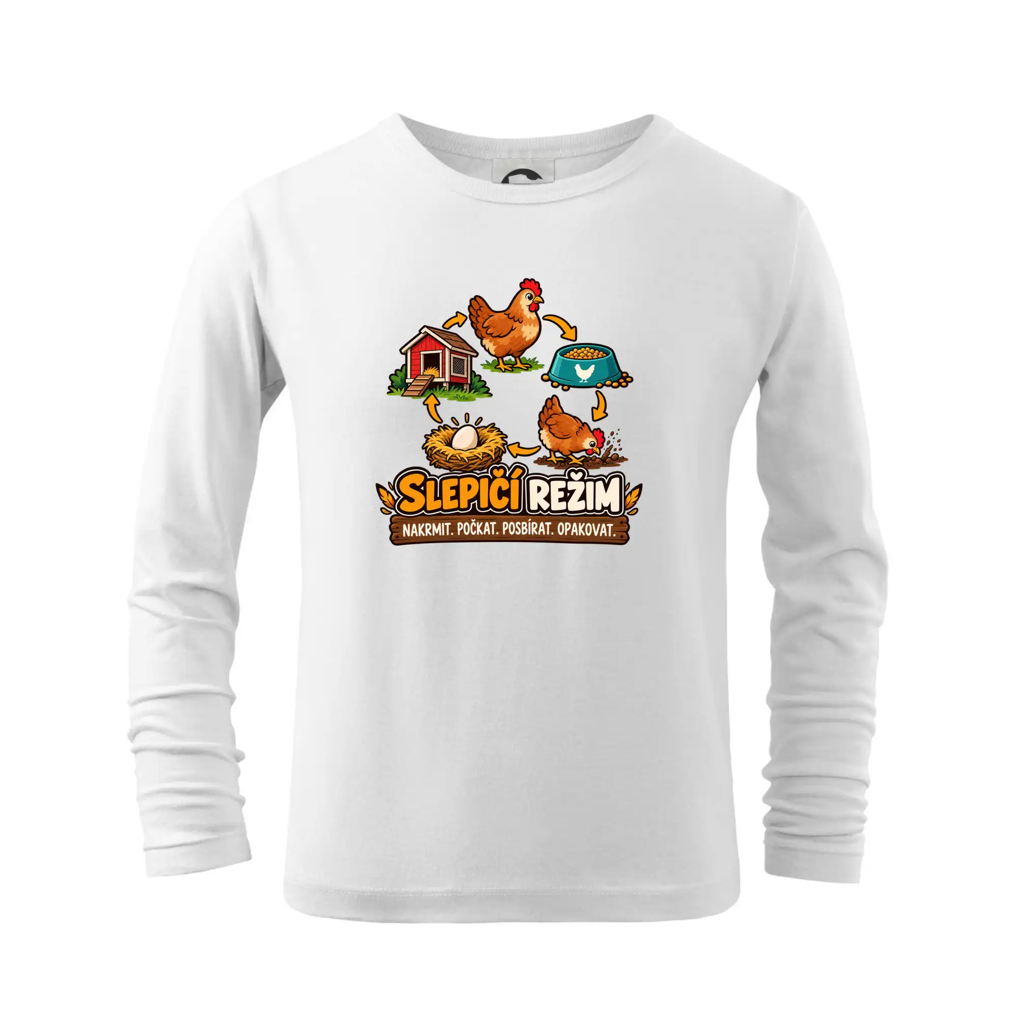 Slepičí režim od krmení po sběr vajec