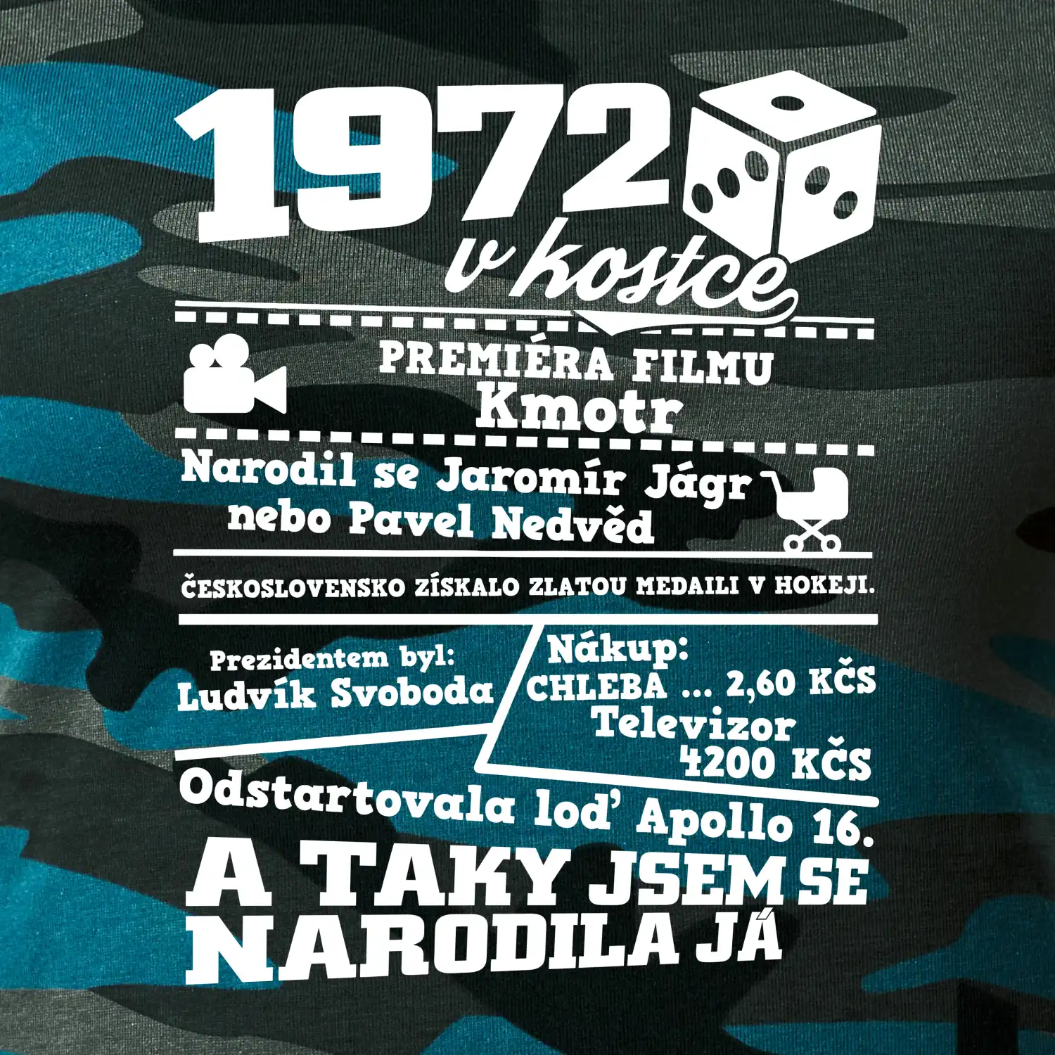 1972 v kostce