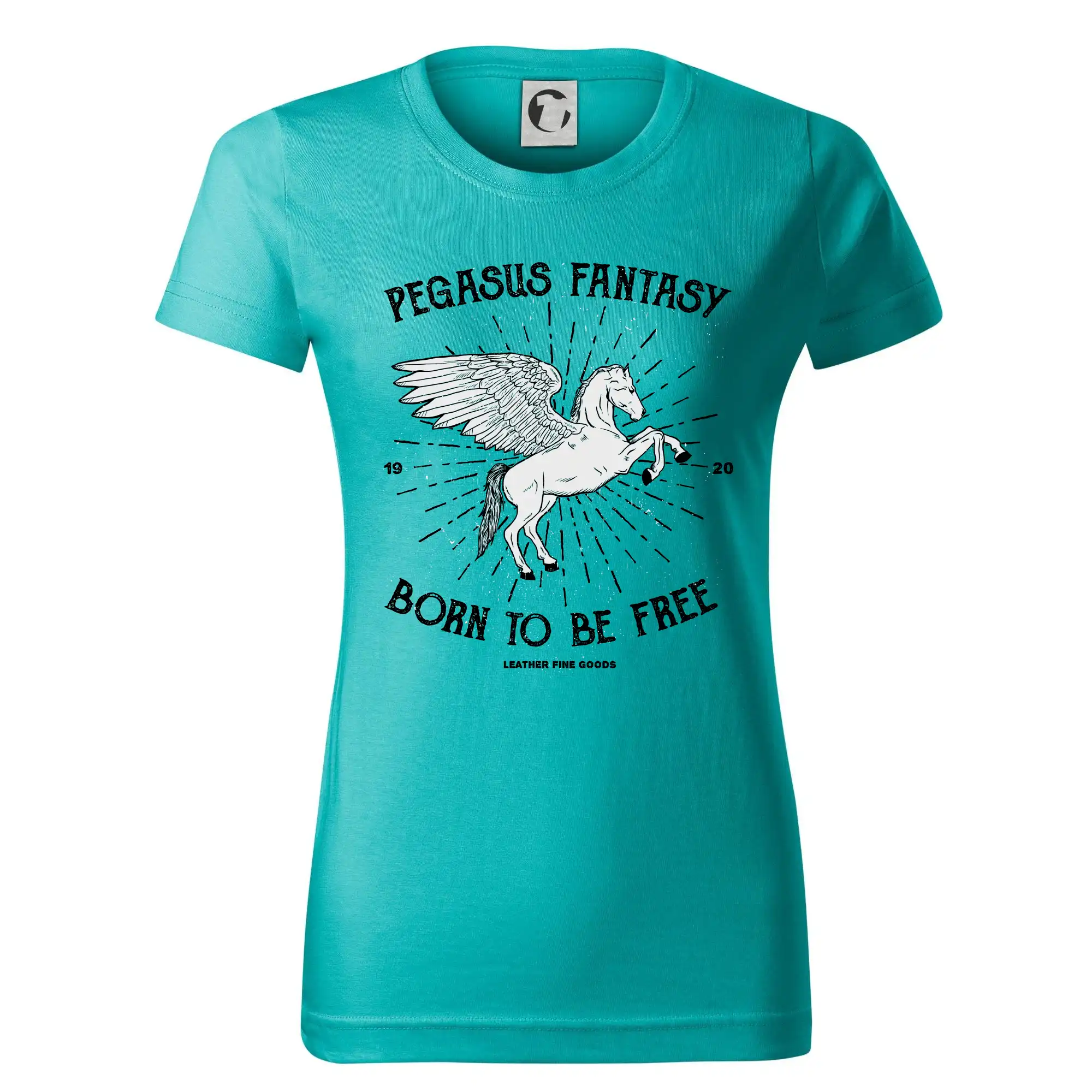 Pegasus fantasy