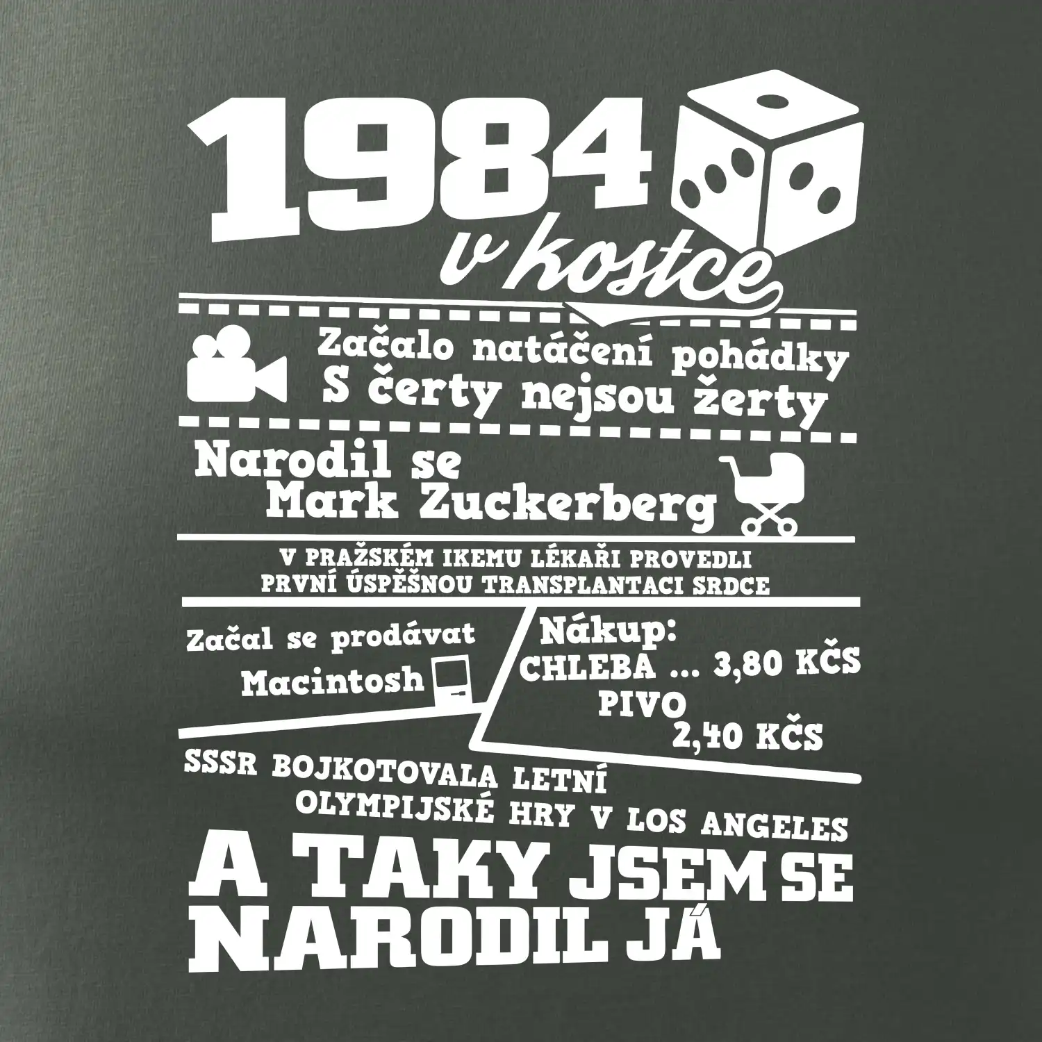 1984 v kostce