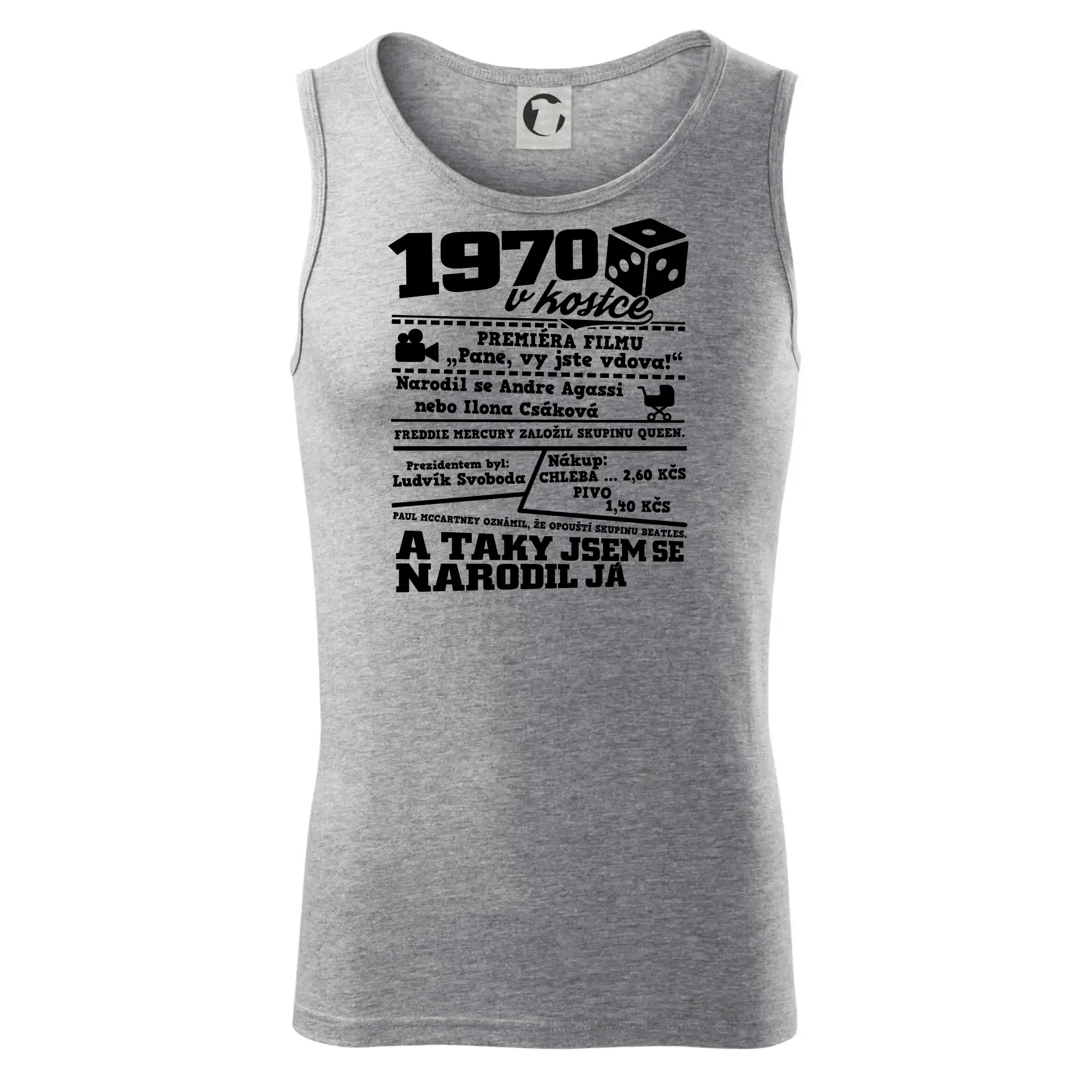 1970 v kostce