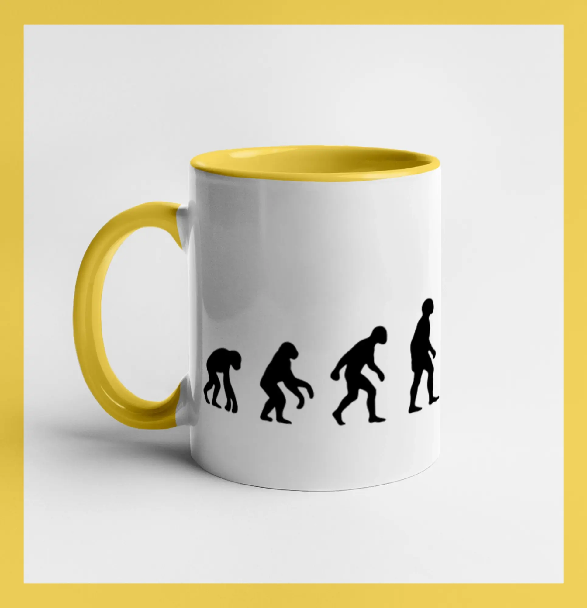 Evoluce lešení
