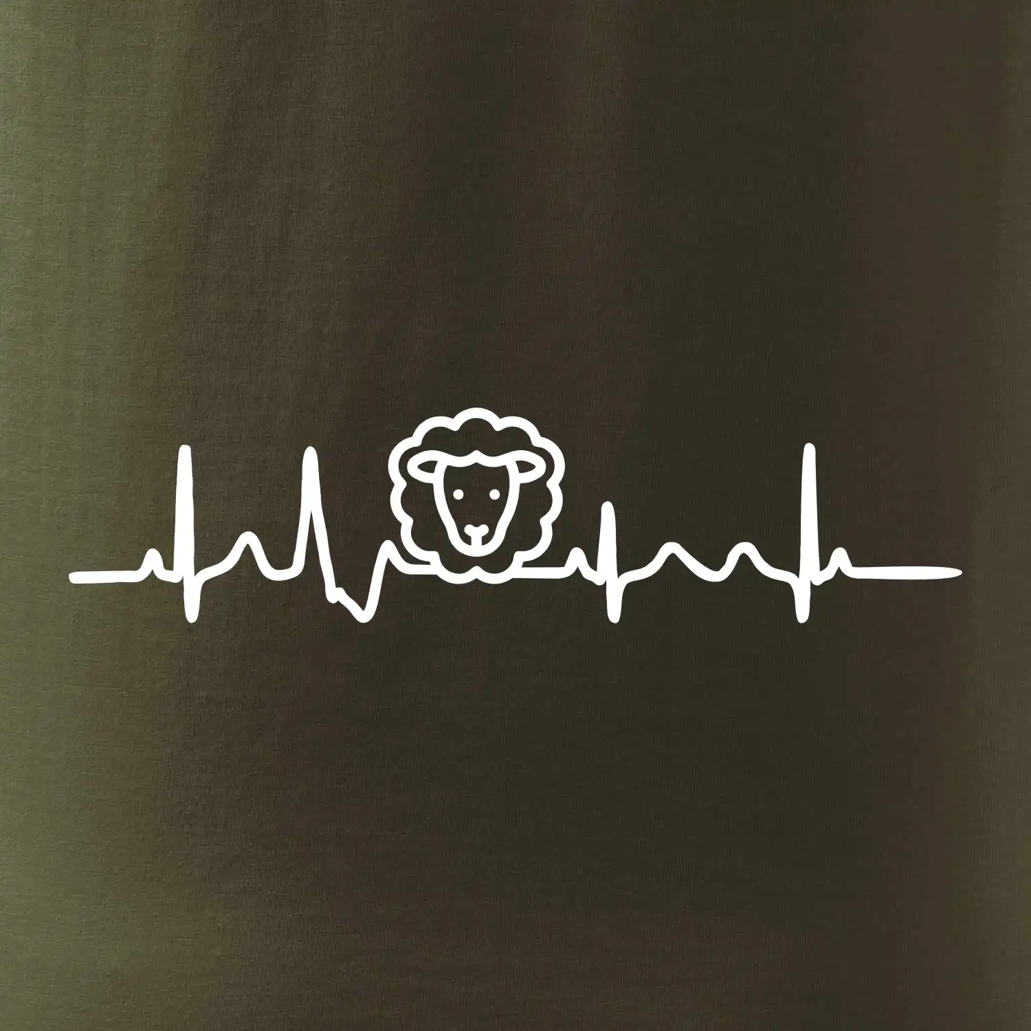 Ekg ovce