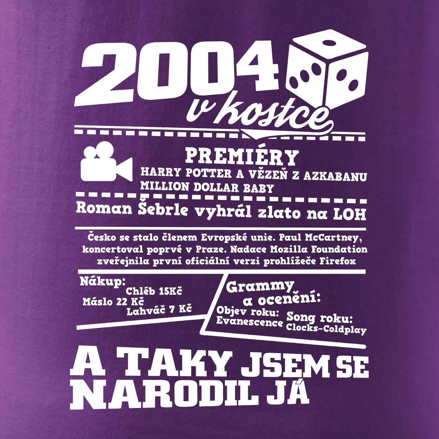 2004 v kostce