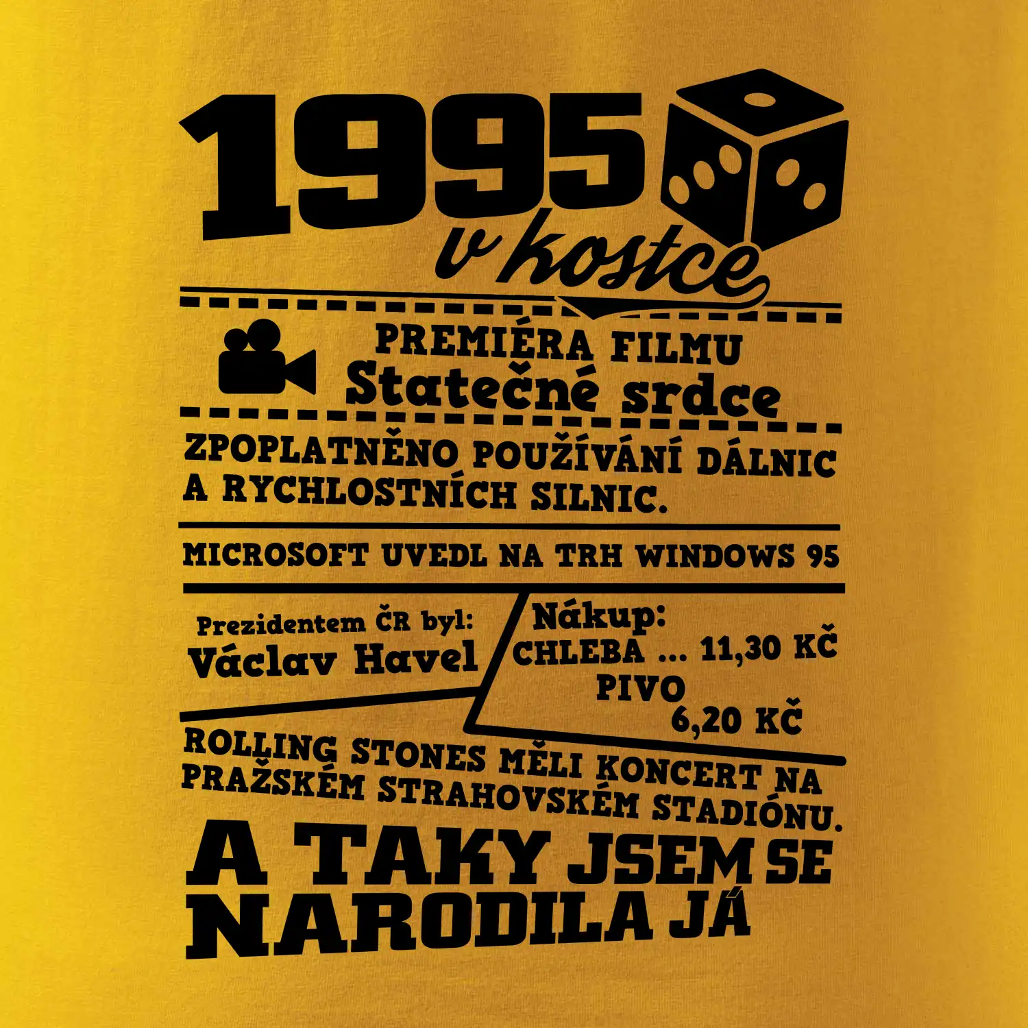 1995 v kostce