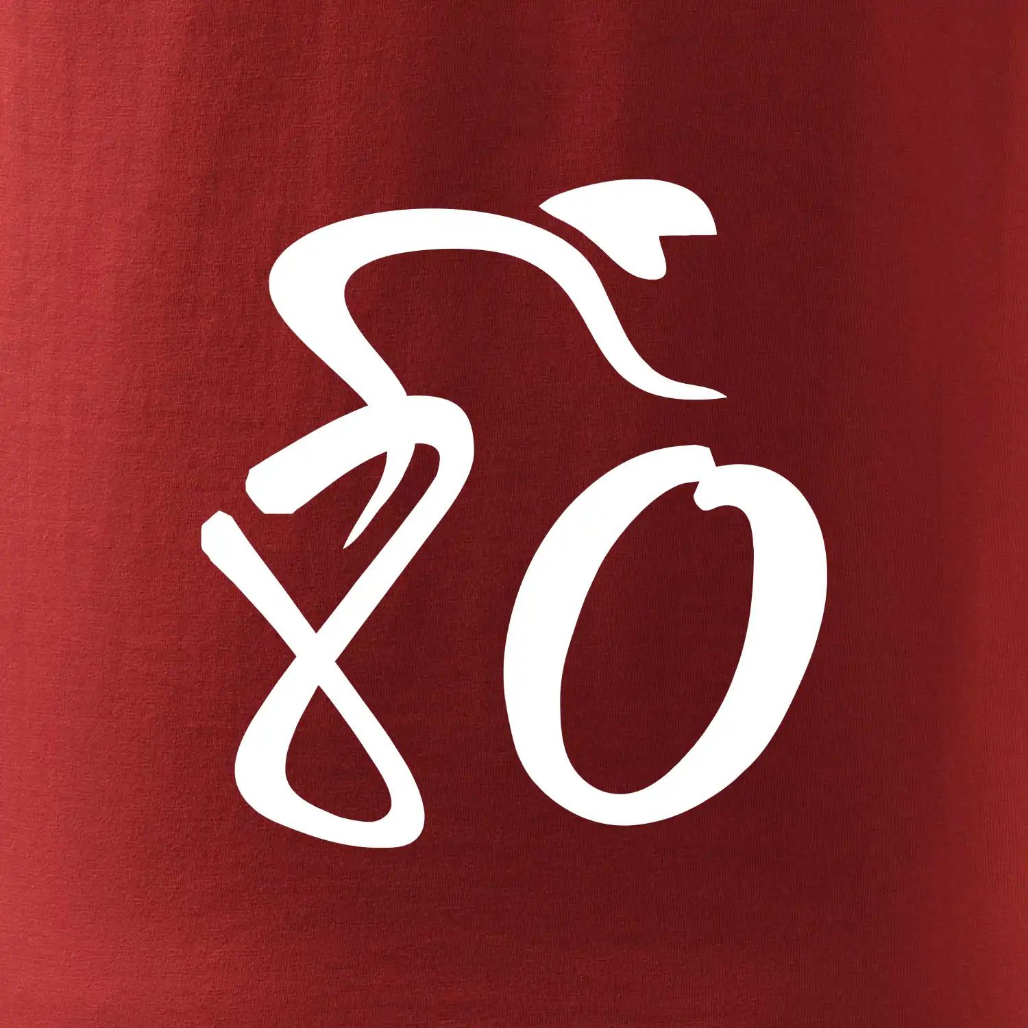 Cyklista slaví osmdesátiny (80)