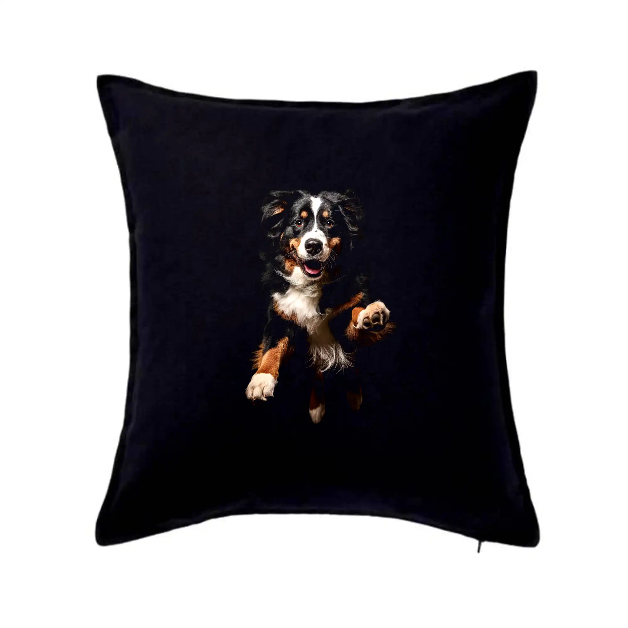 Bernský salašnický pes skakájící černá fotka