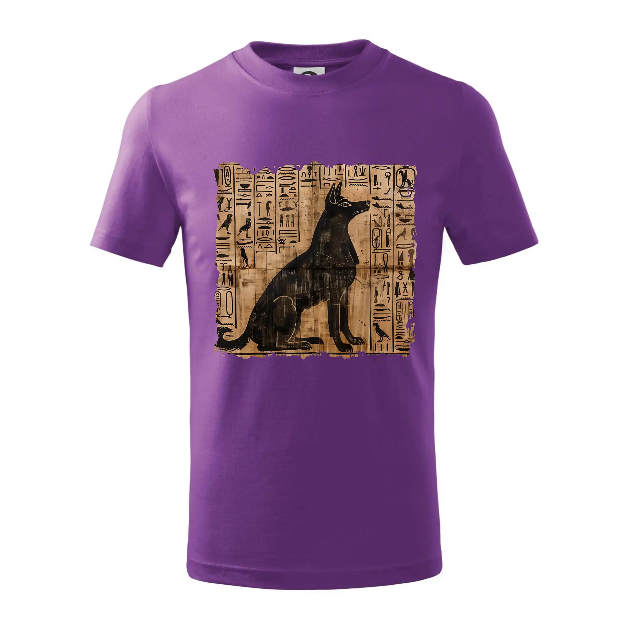 Egyptské hieroglyfy pes