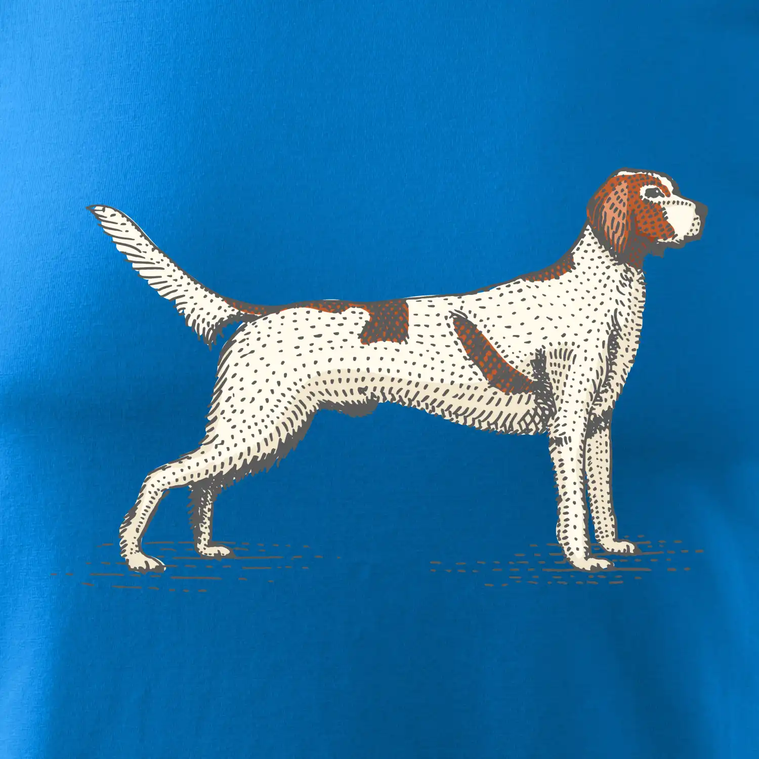 Vintage Setter