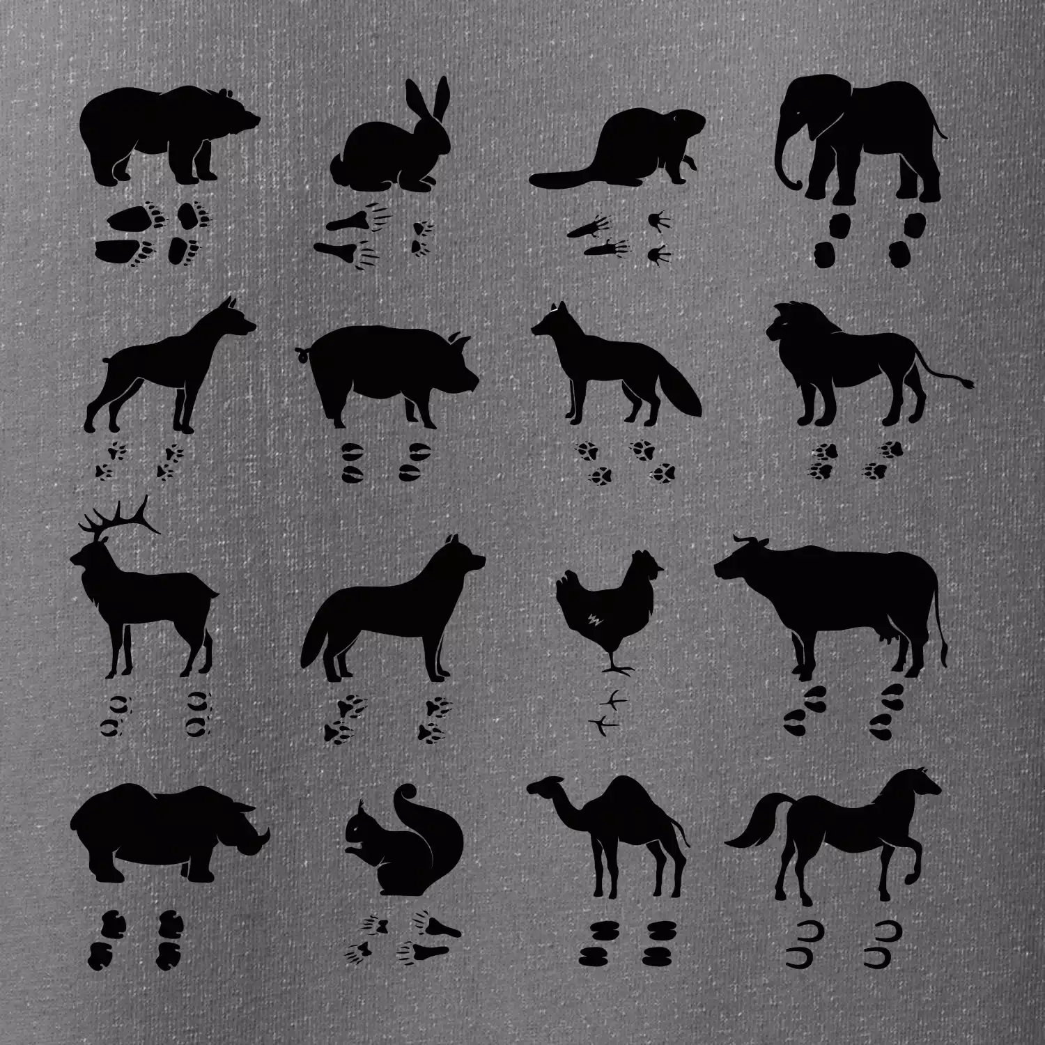 Zvířecí stopy s obrázkem zvířete - stopy zvířat