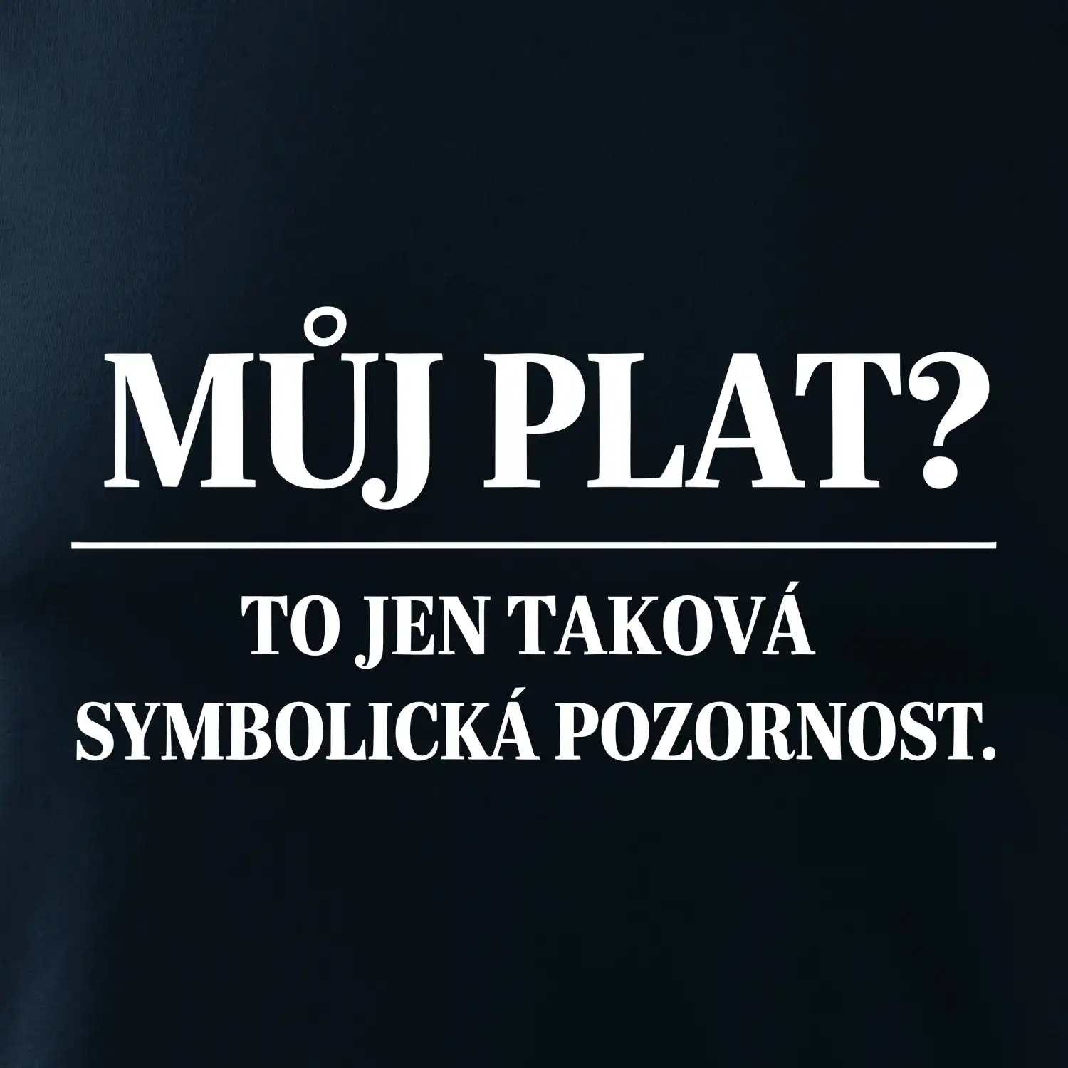 Můj plat? to jen taková symbolická pozornost