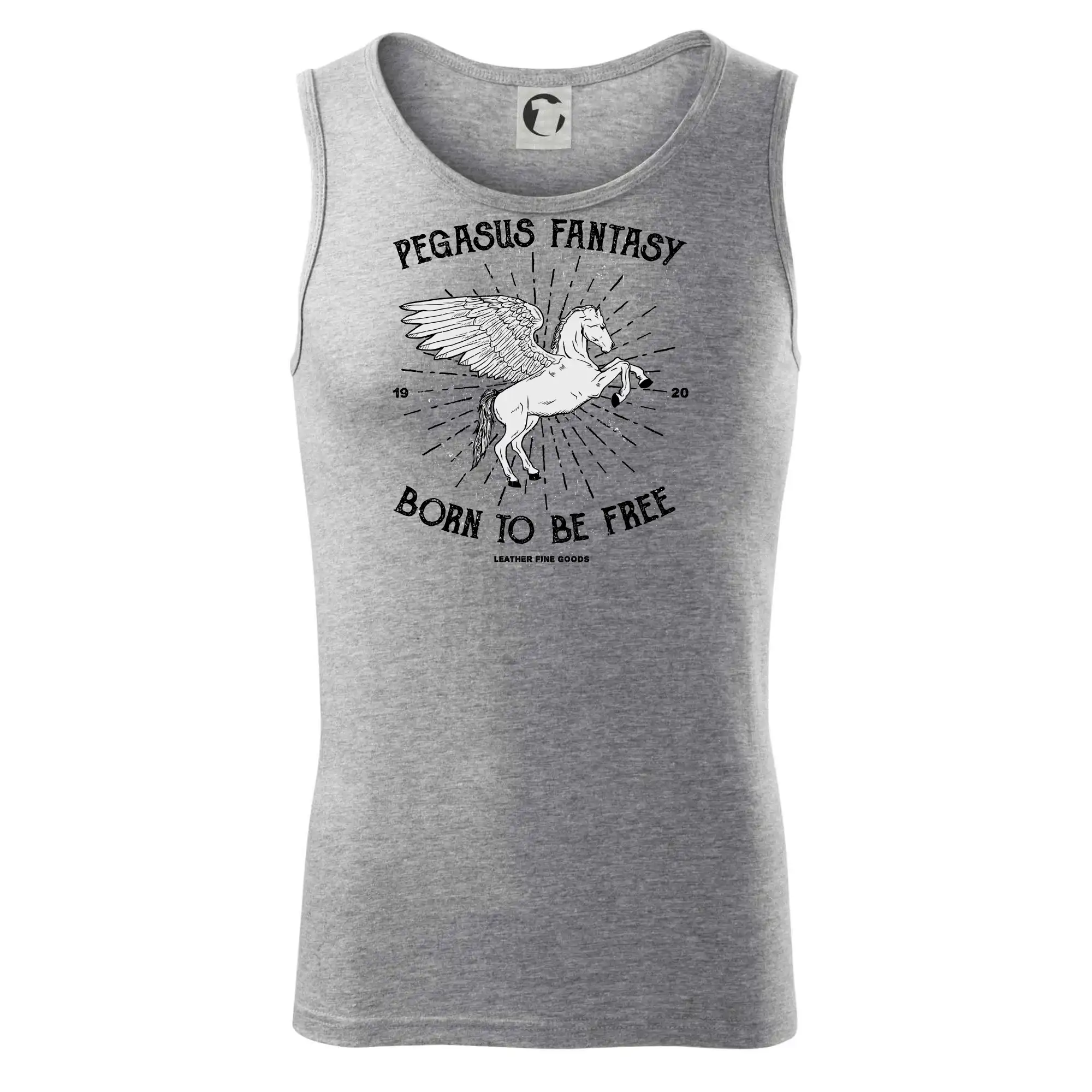 Pegasus fantasy