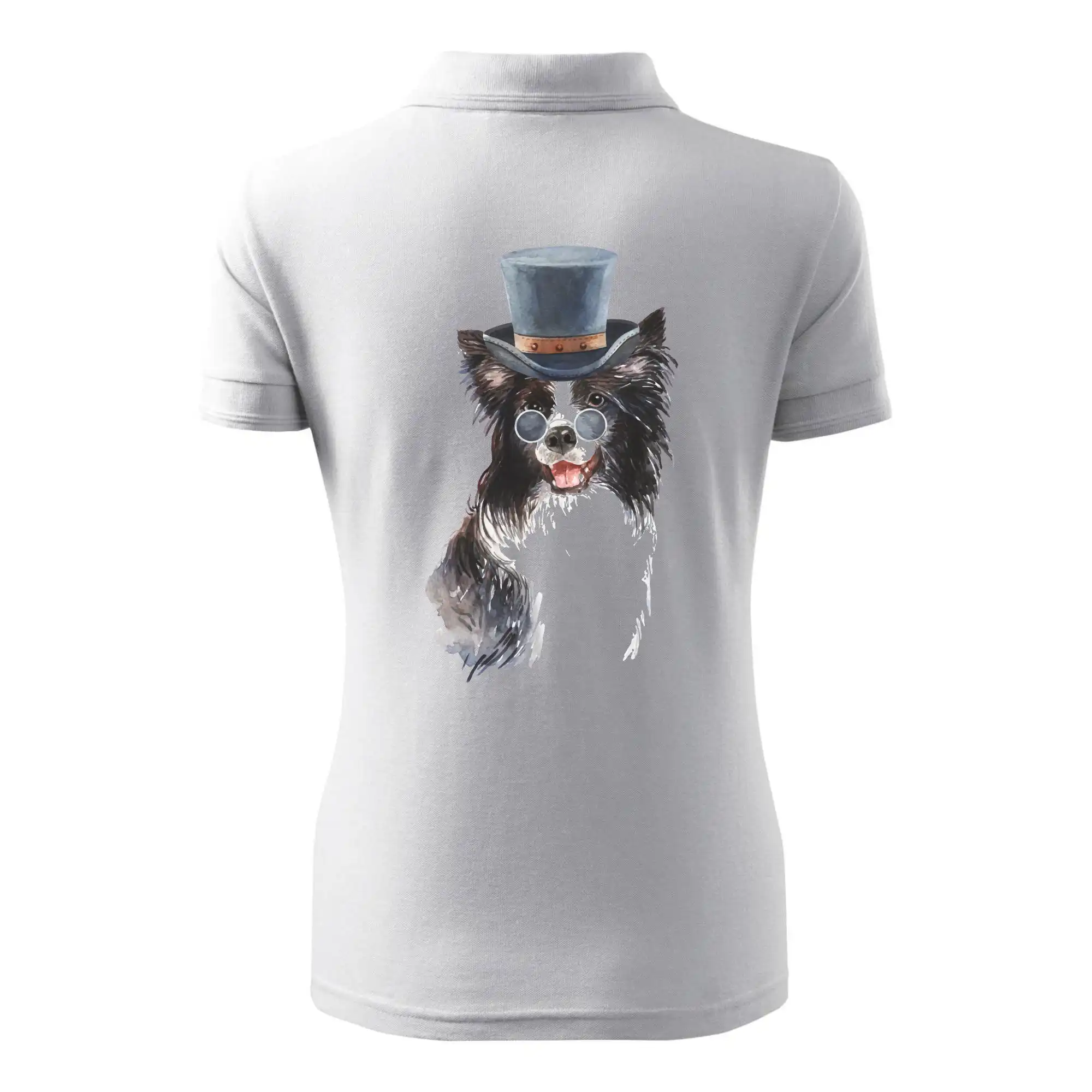 Border kolie v klobouku