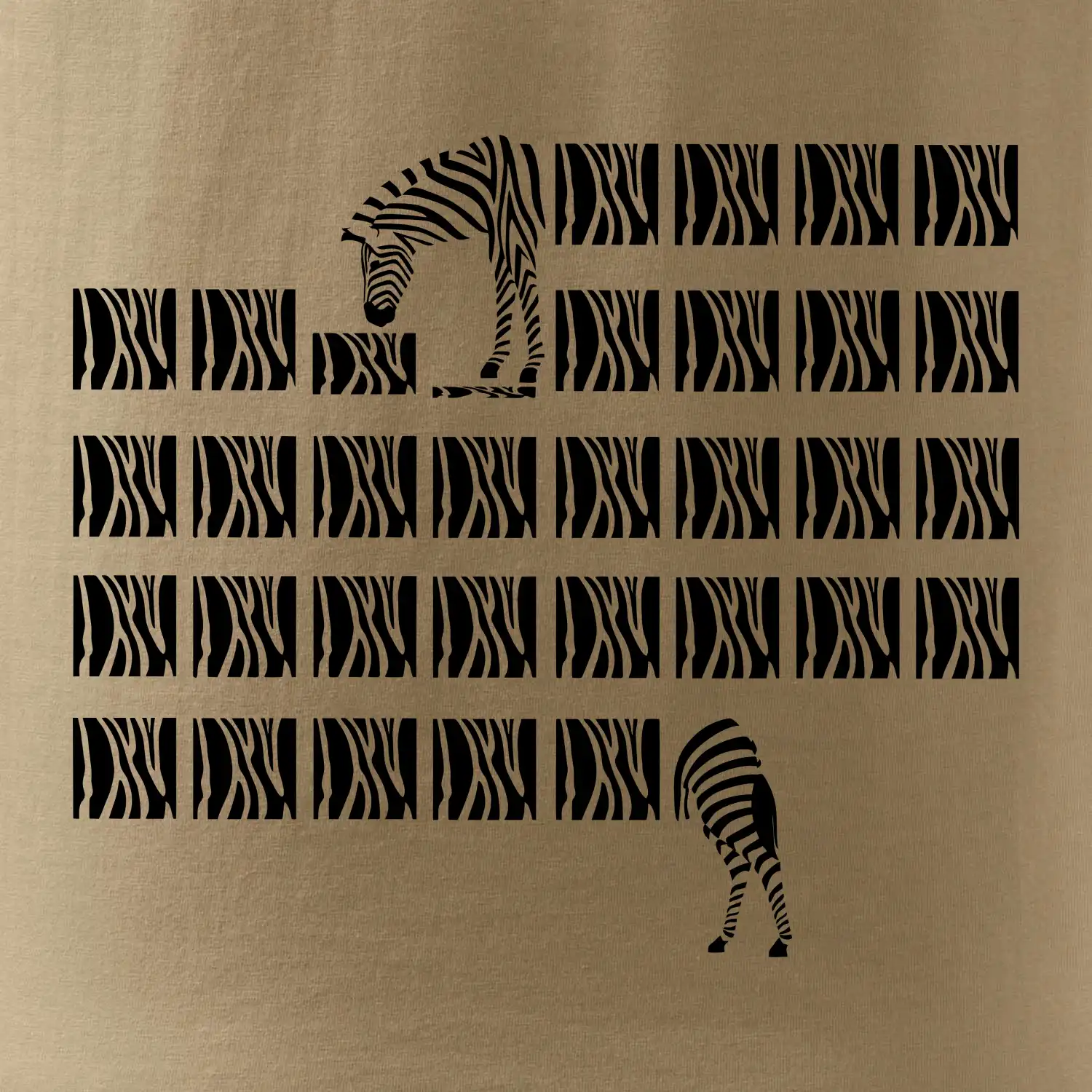 Zebra dlouhá