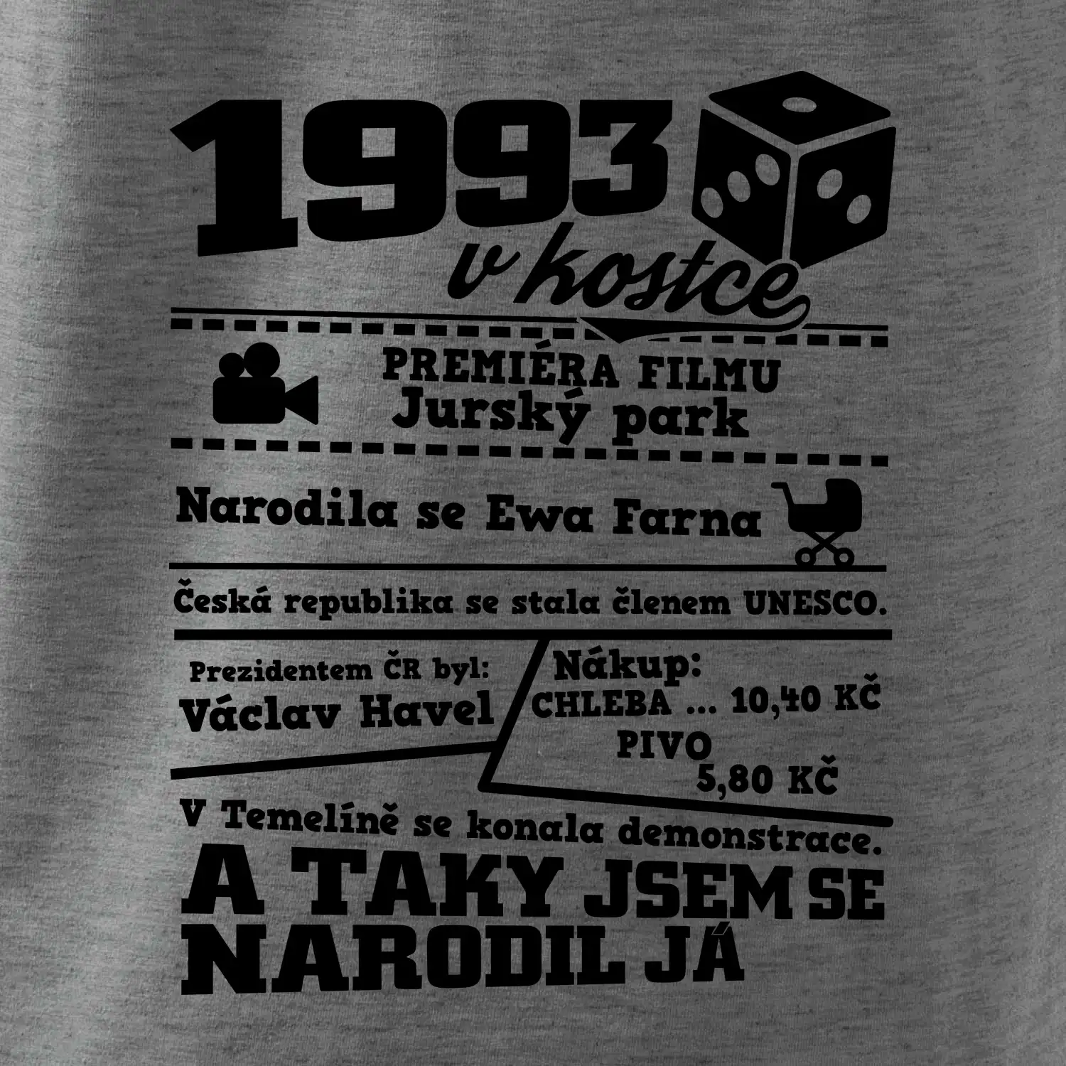 1993 v kostce