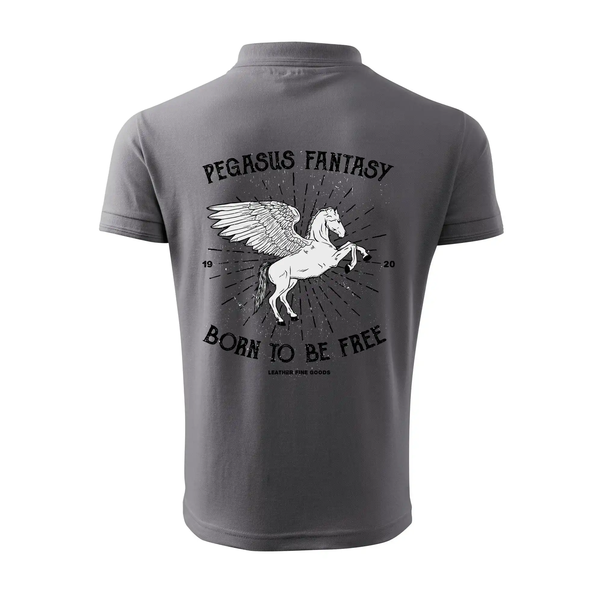 Pegasus fantasy