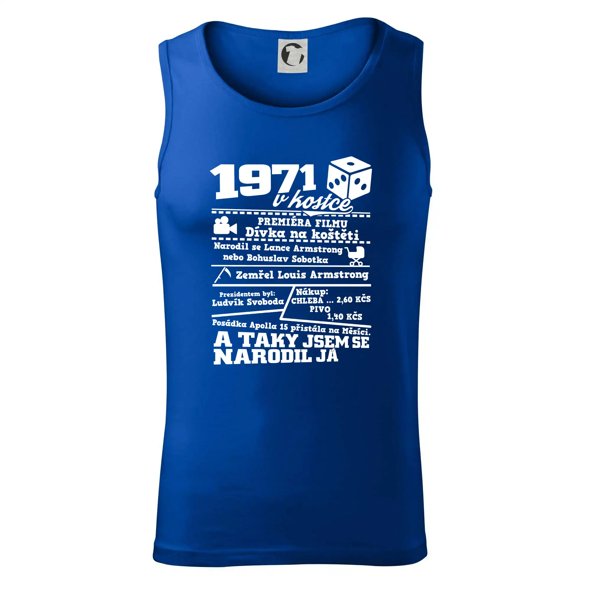 1971 v kostce