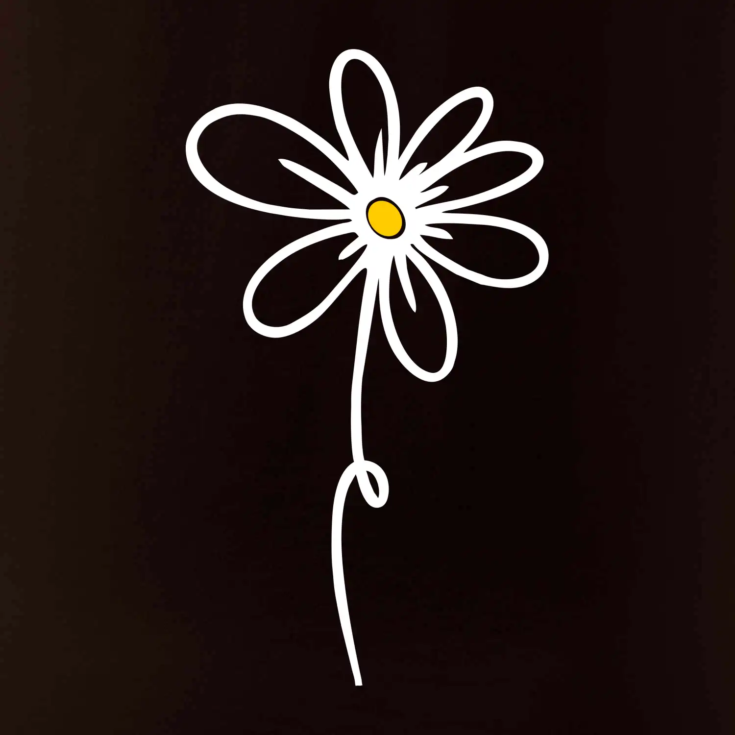 Kopretina - dole na výšku