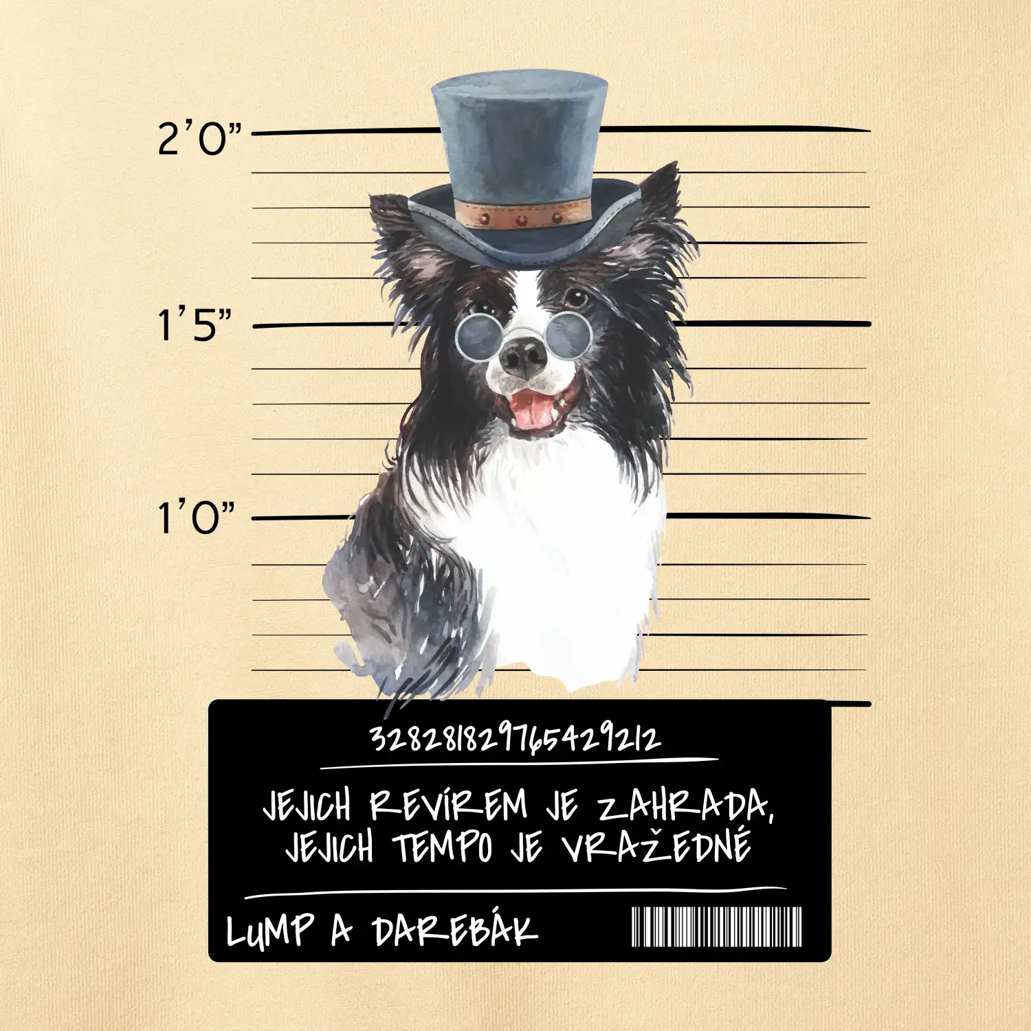 Lump a darebák border kolie