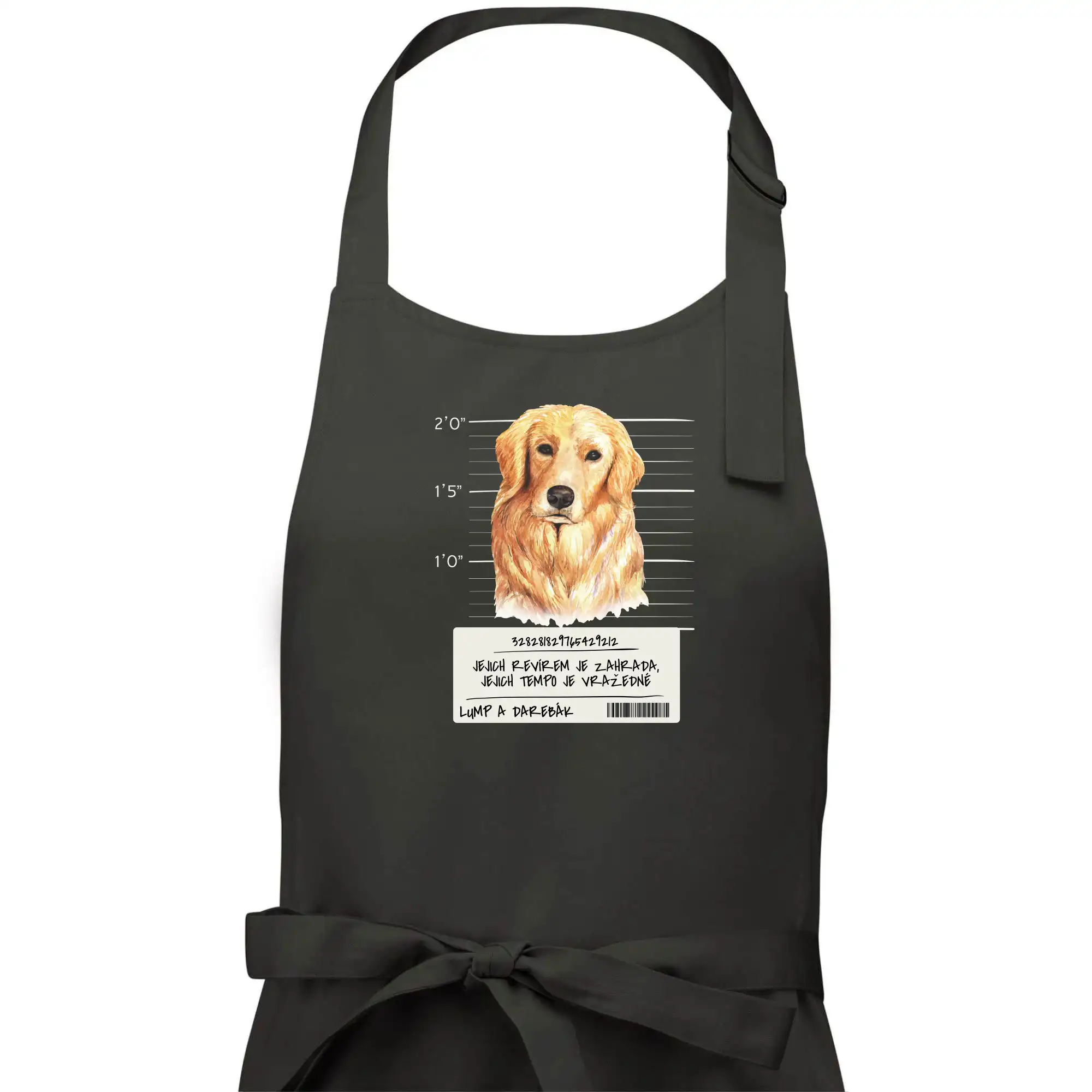 Lump a darebák zlatý retrívr