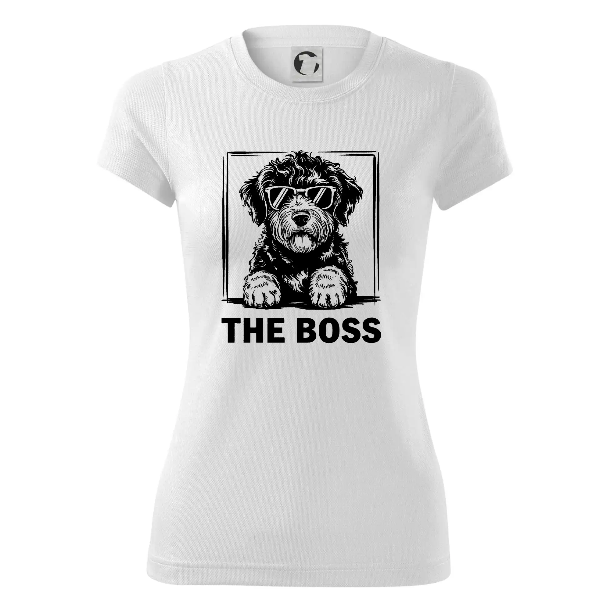 Lagotto romagnolo the boss