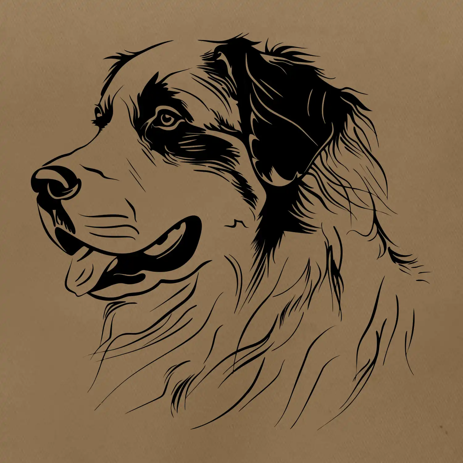 Bernský salašnický pes černá kresba