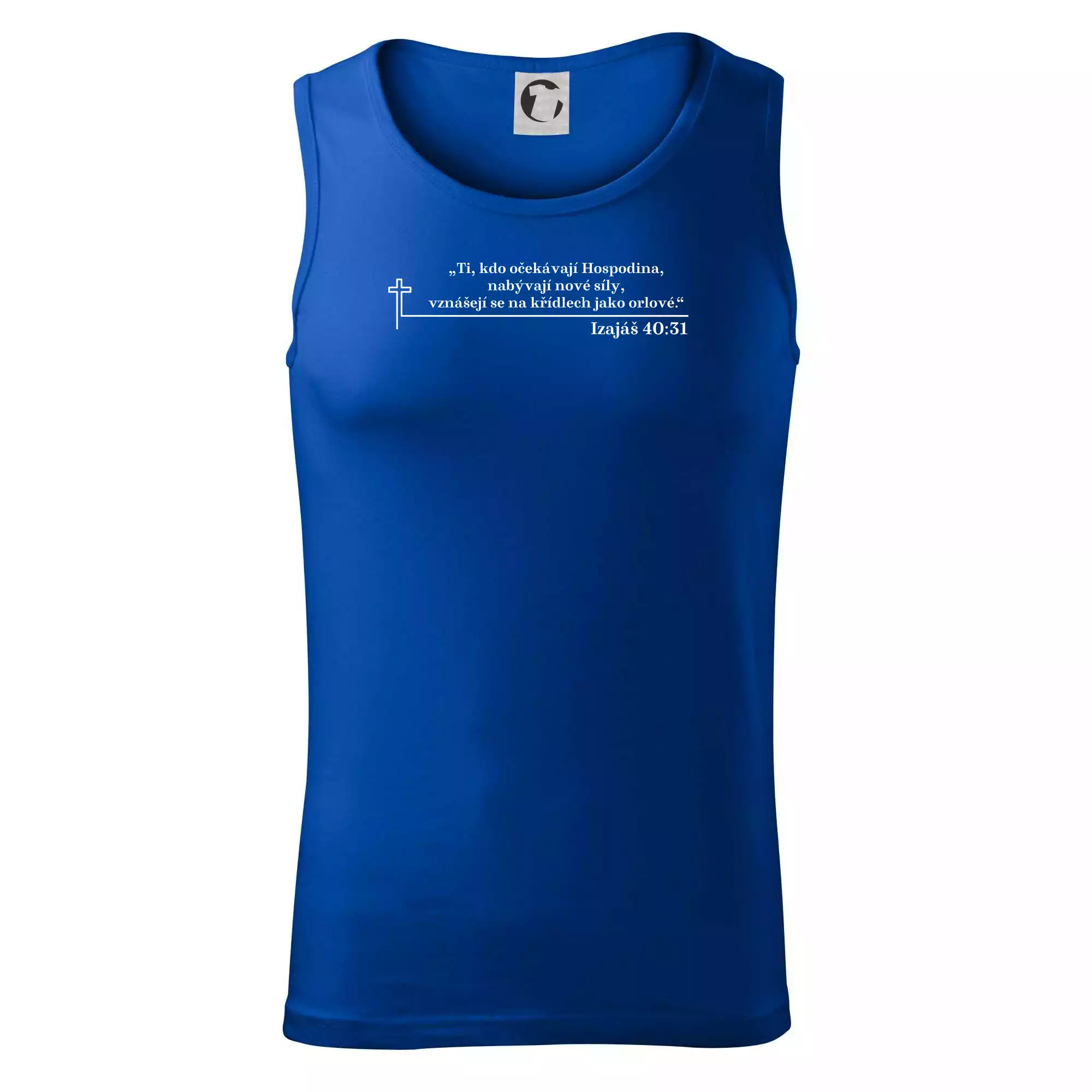 Citáty z bible - Izajáš 40:31