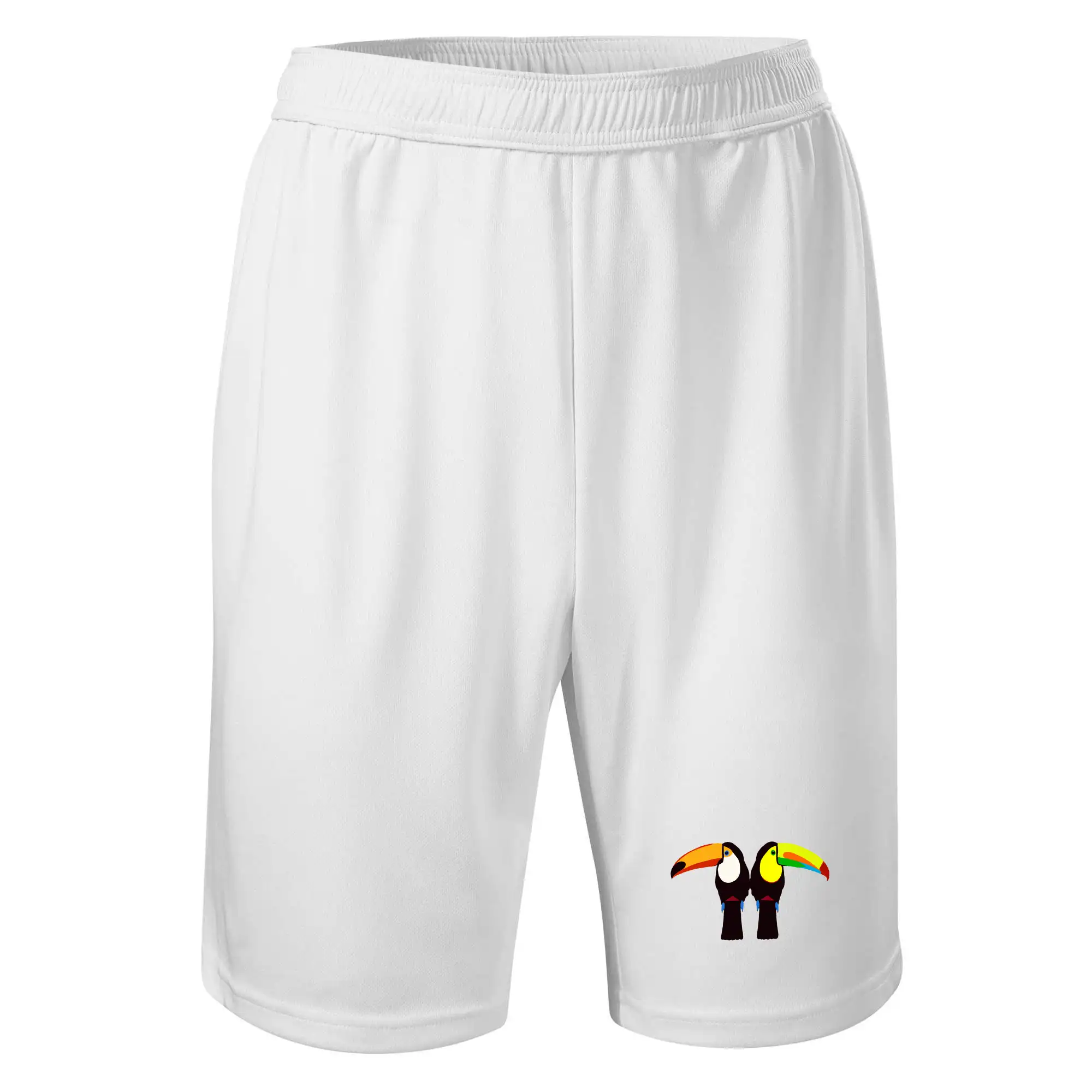 Dva barevní tukani (Moňas)