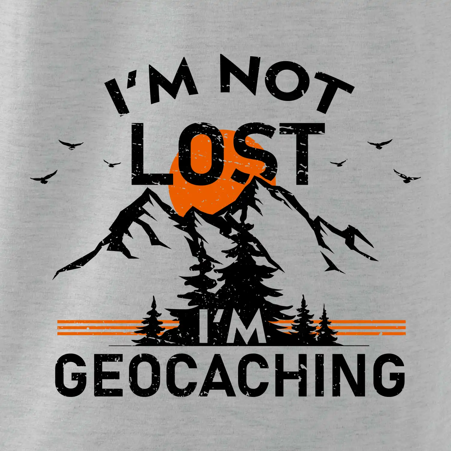 Im not lost - geocaching