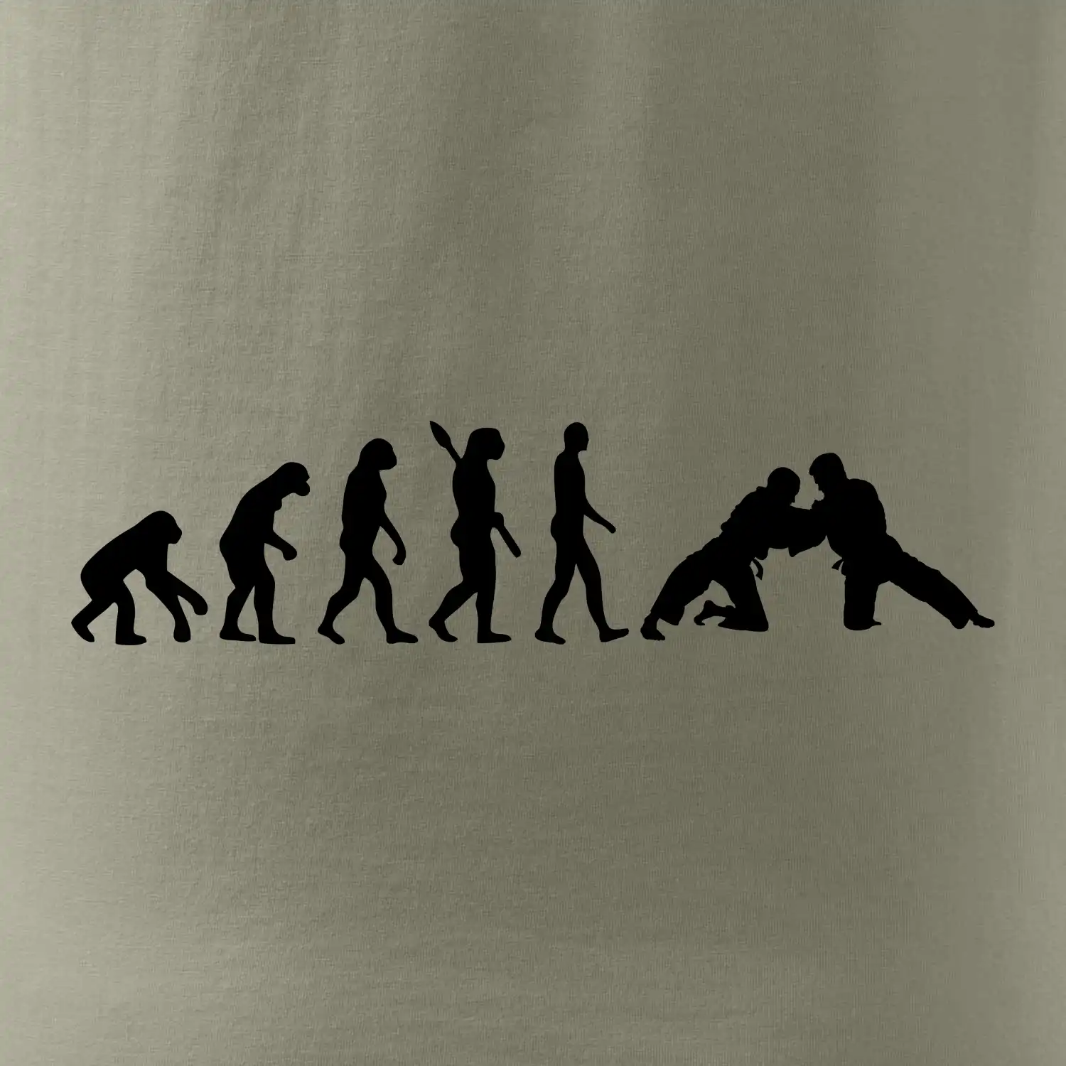 Judo Evoluce