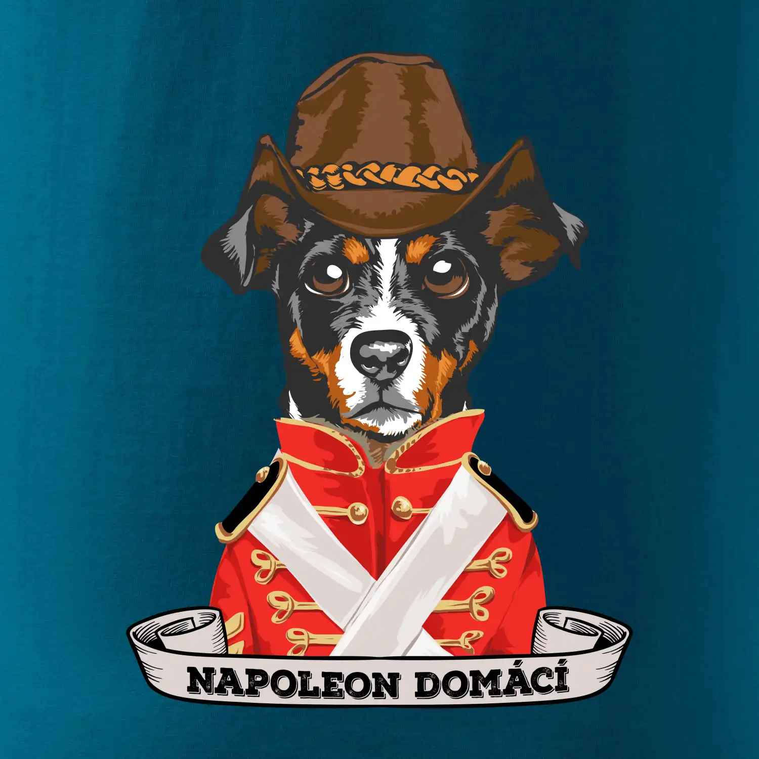 Napoleon domácí pes kříženec