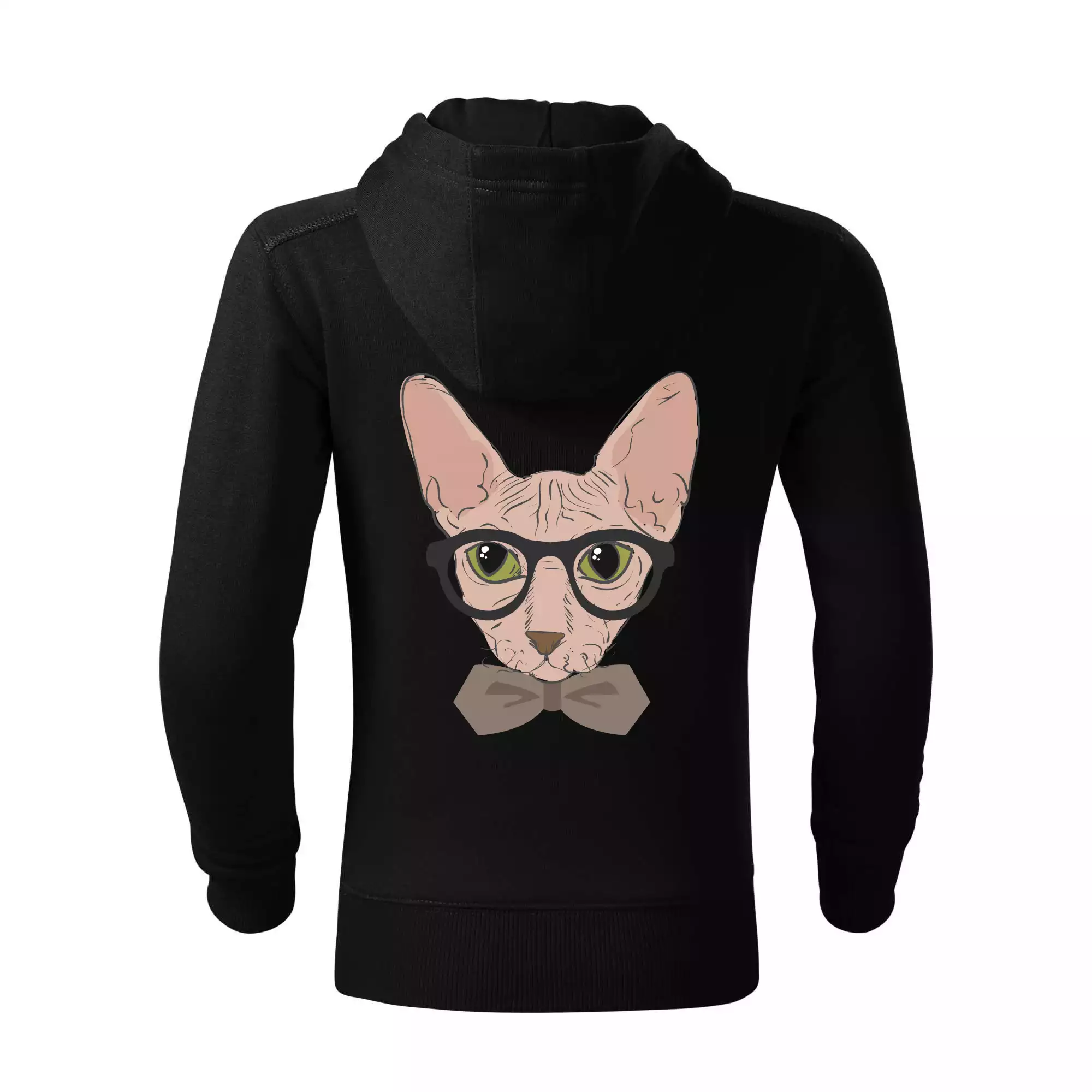 Hipster sphynx