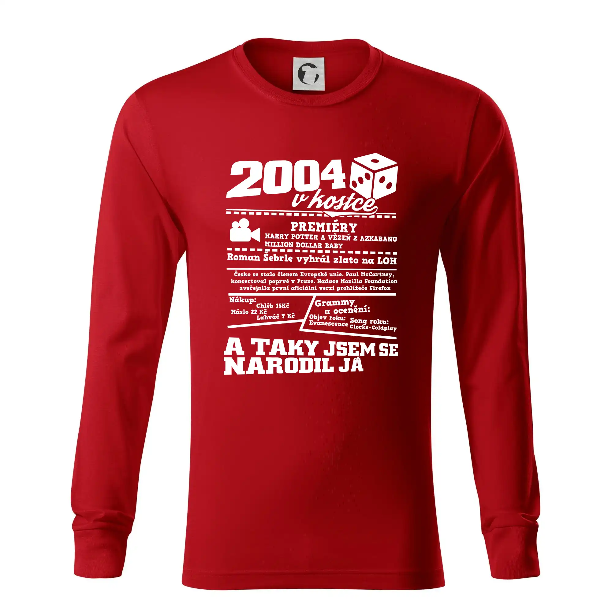 2004 v kostce