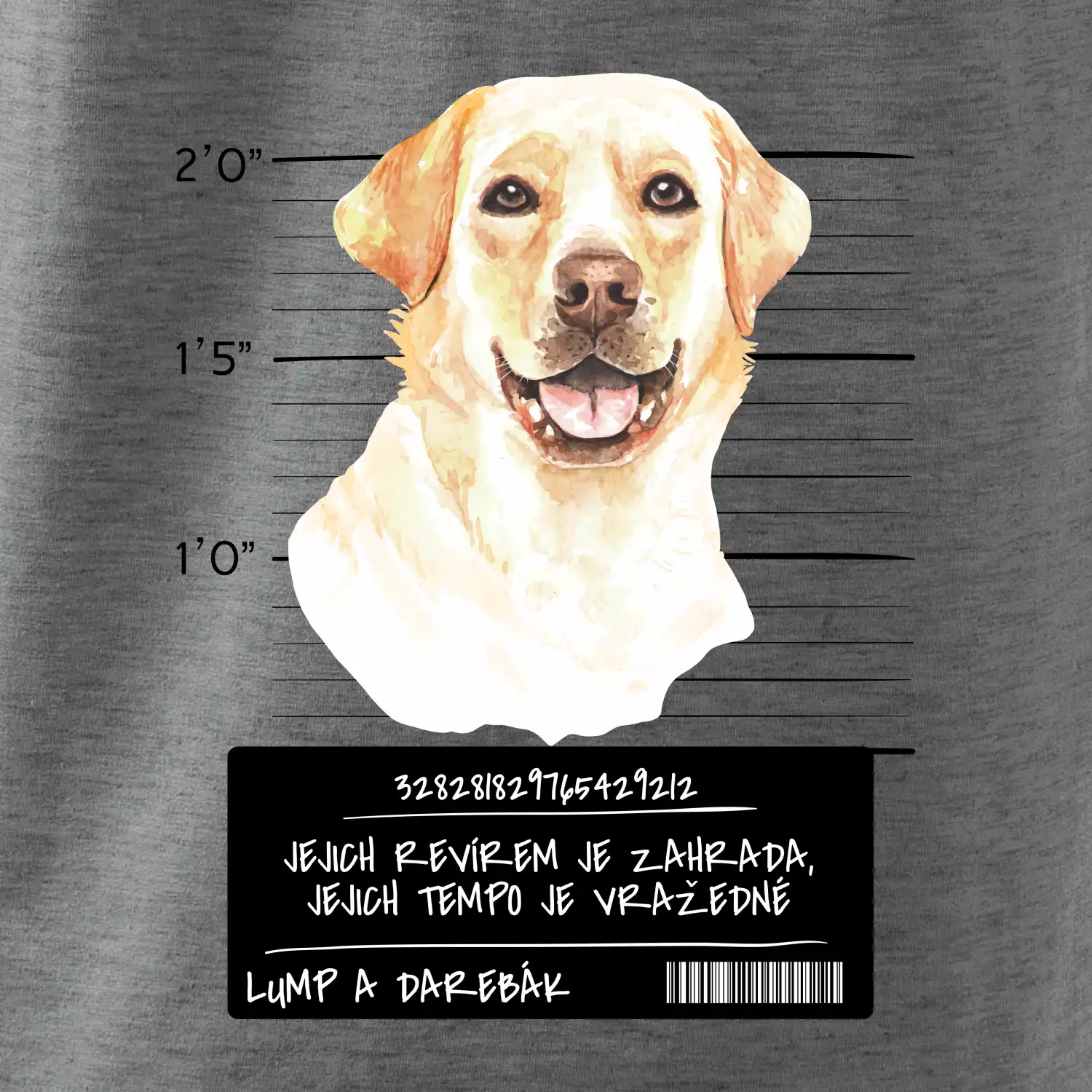 Lump a darebák labrador