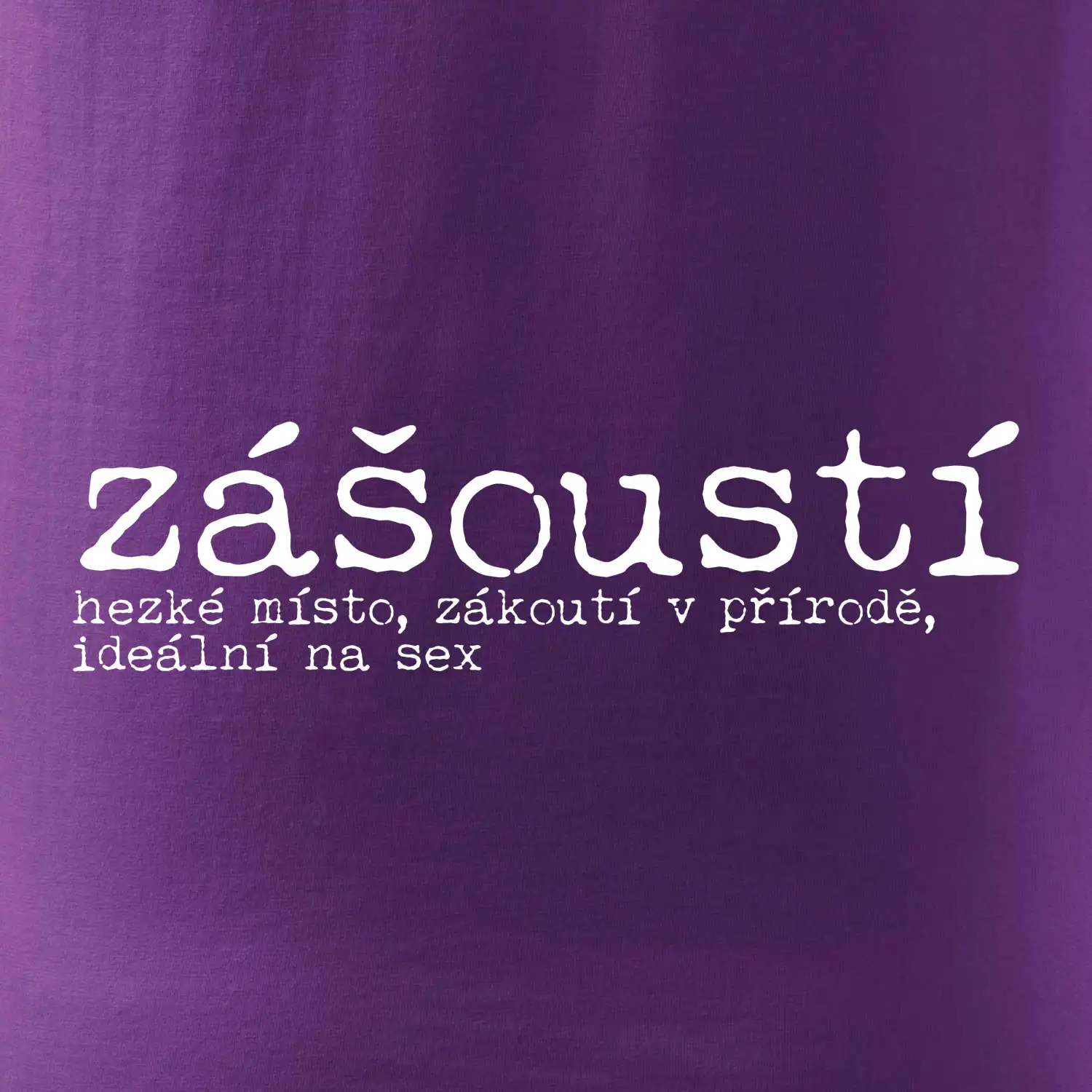 Čeština 2.0 - zášoustí