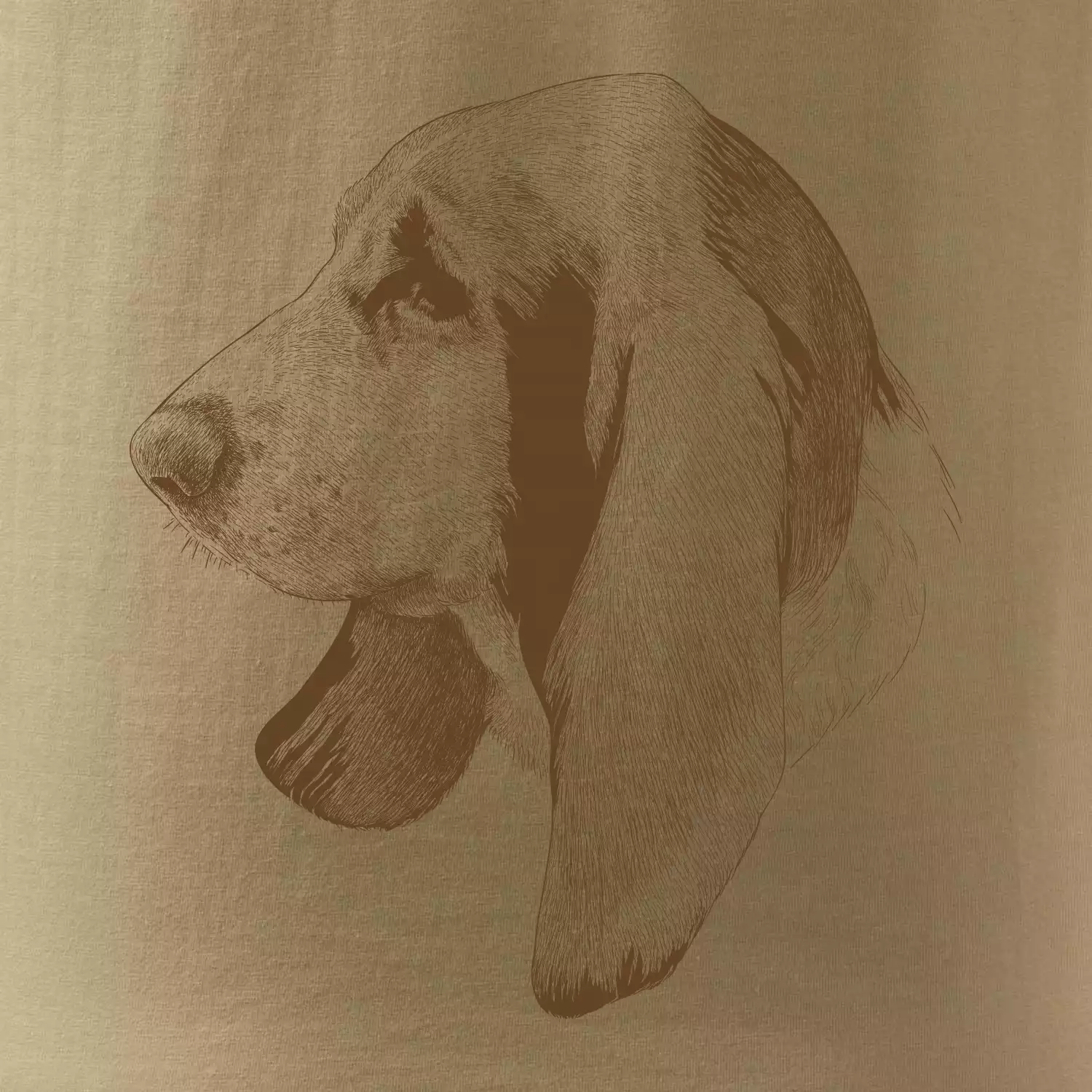 Basset - kreslená hlava