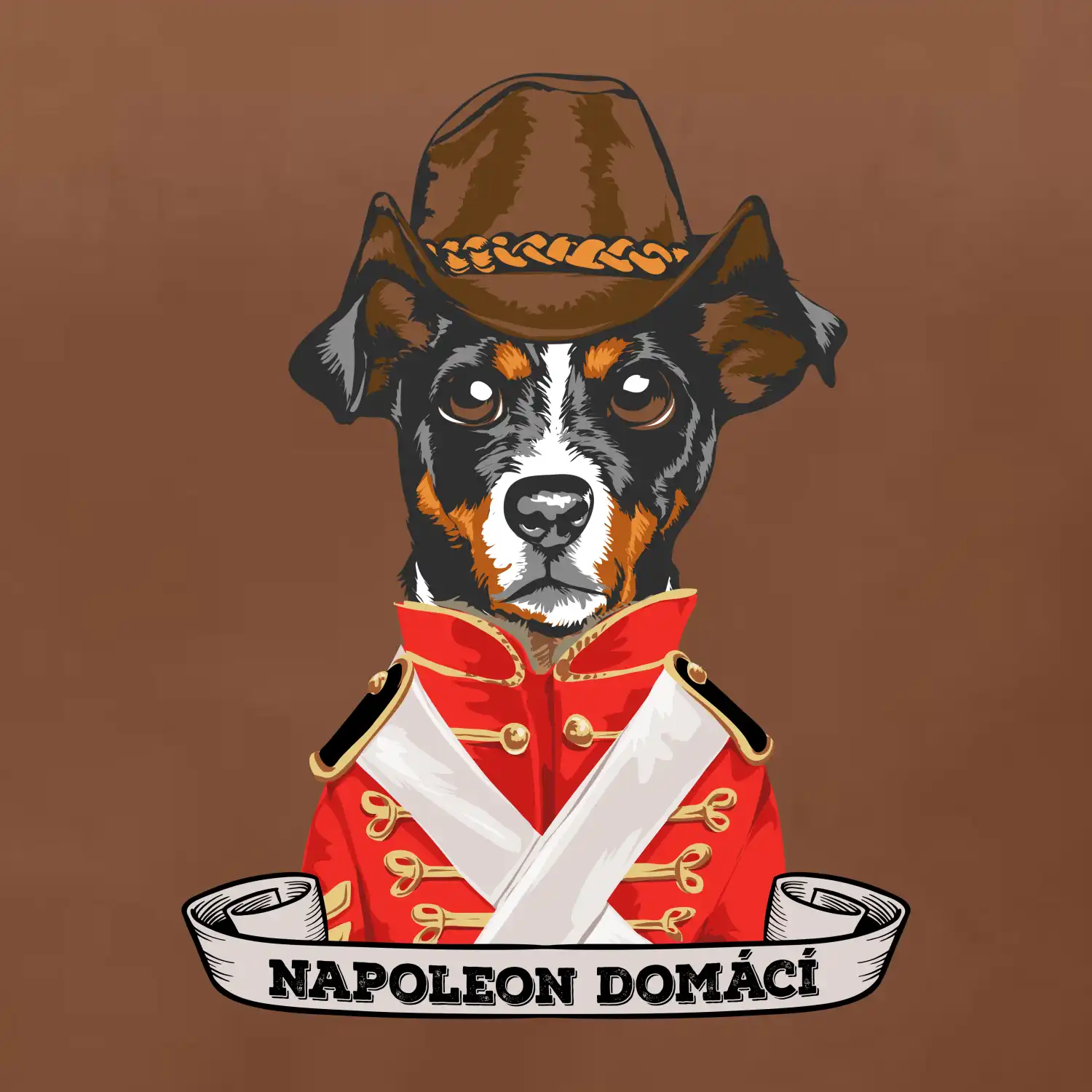 Napoleon domácí pes kříženec